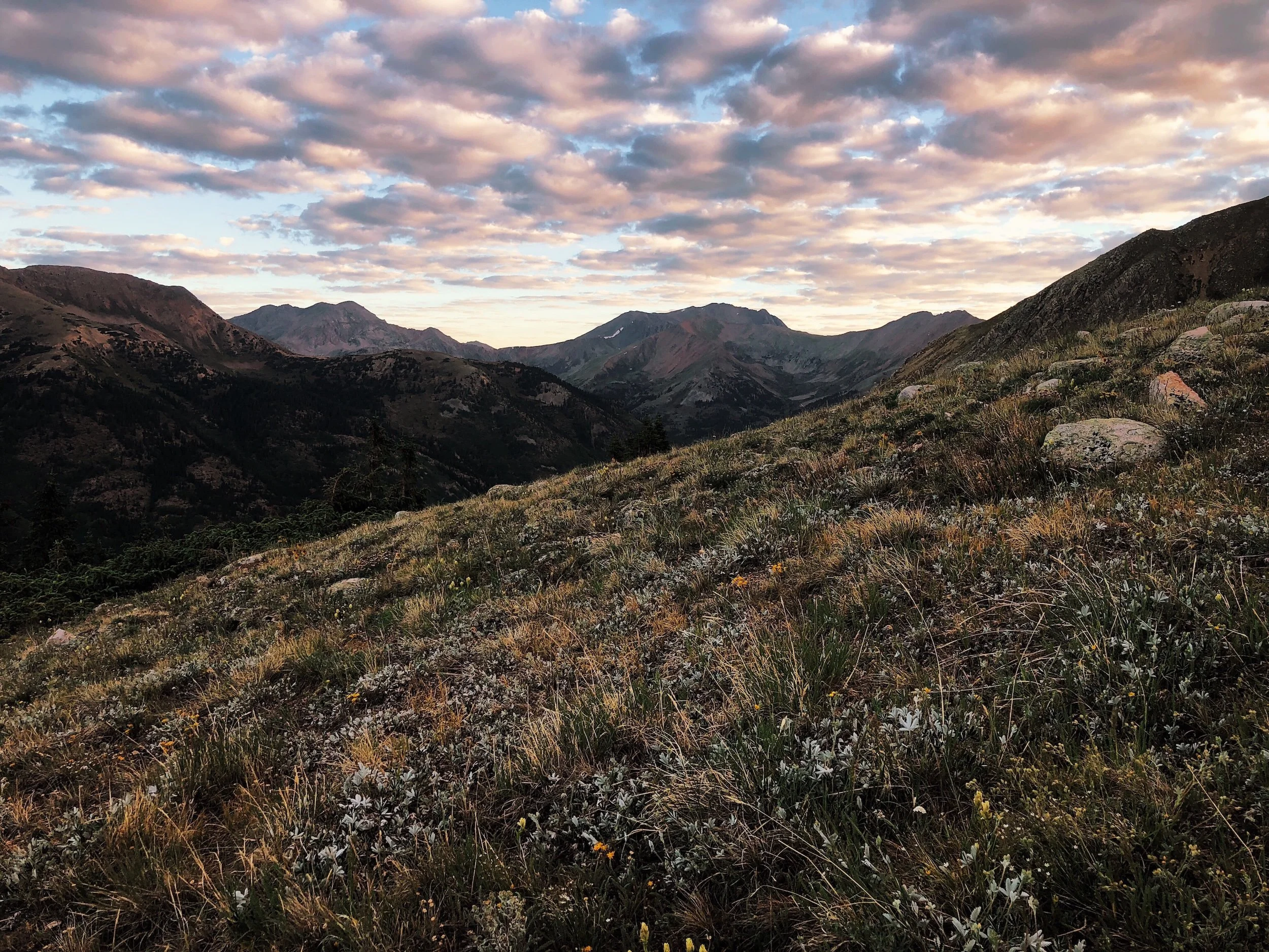 Landscape shot from the Mount Huron trail in Colorado with green slopes, rocky peaks, and a sky with scattered clouds during sunset or sunrise.