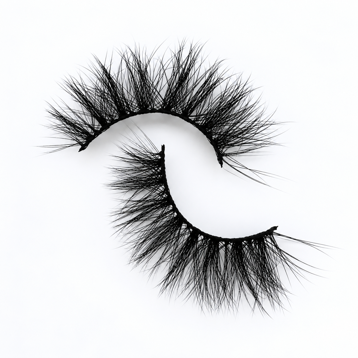 F549E016-F196-4CB0-A79C-E15CAC8388B6.png