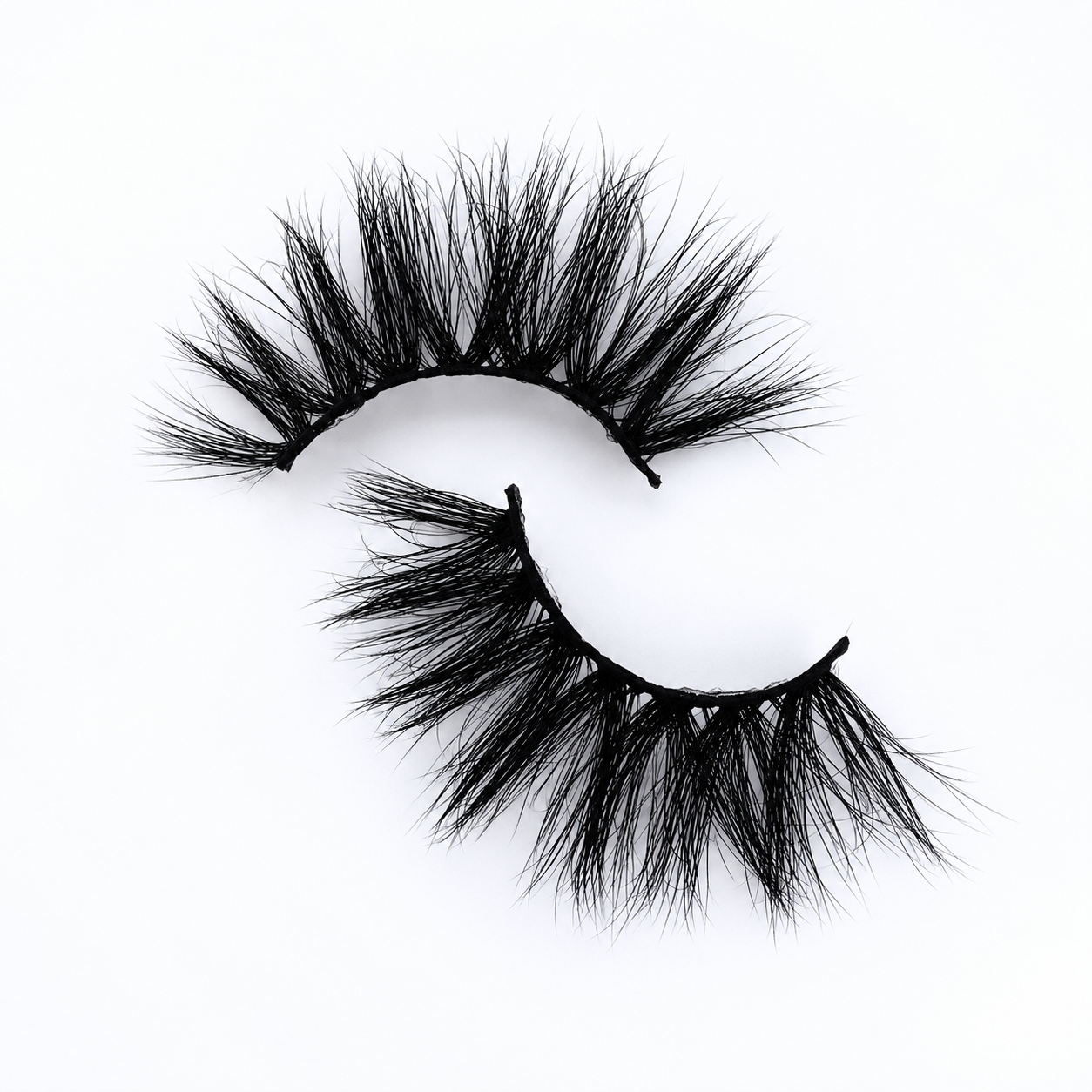 44240D10-2CBB-4208-BD9B-927CA8E30538.png
