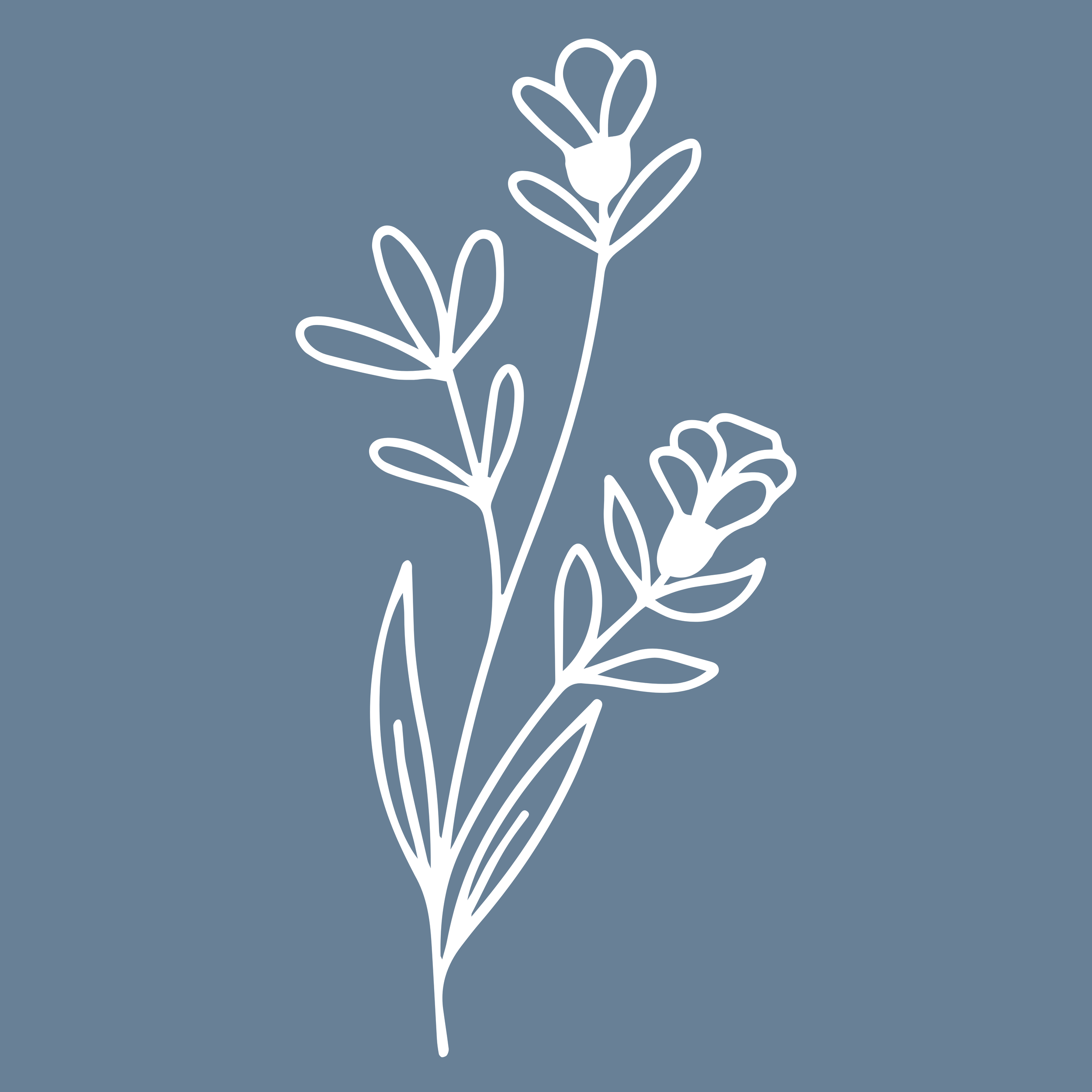 The Larkspur