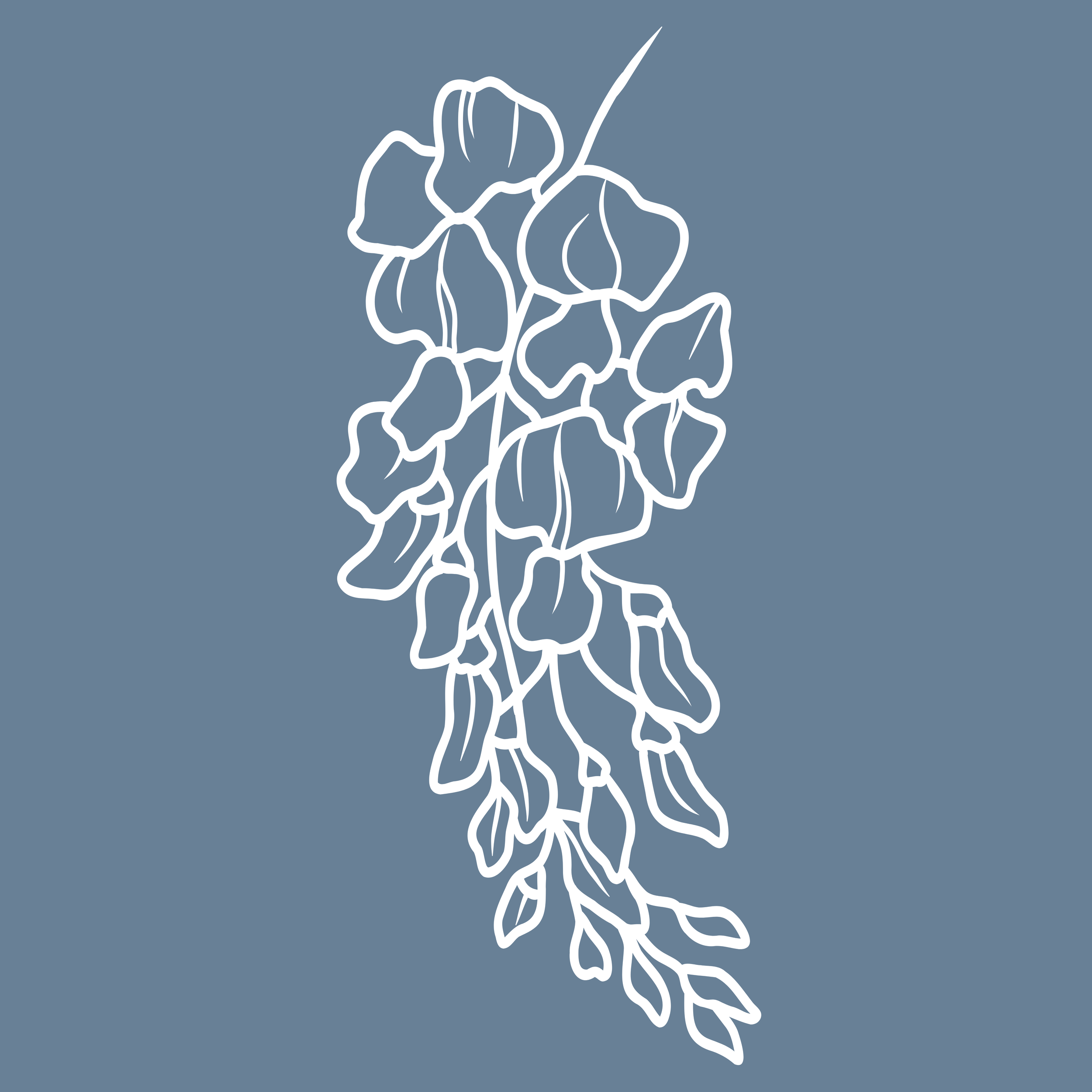The Wisteria