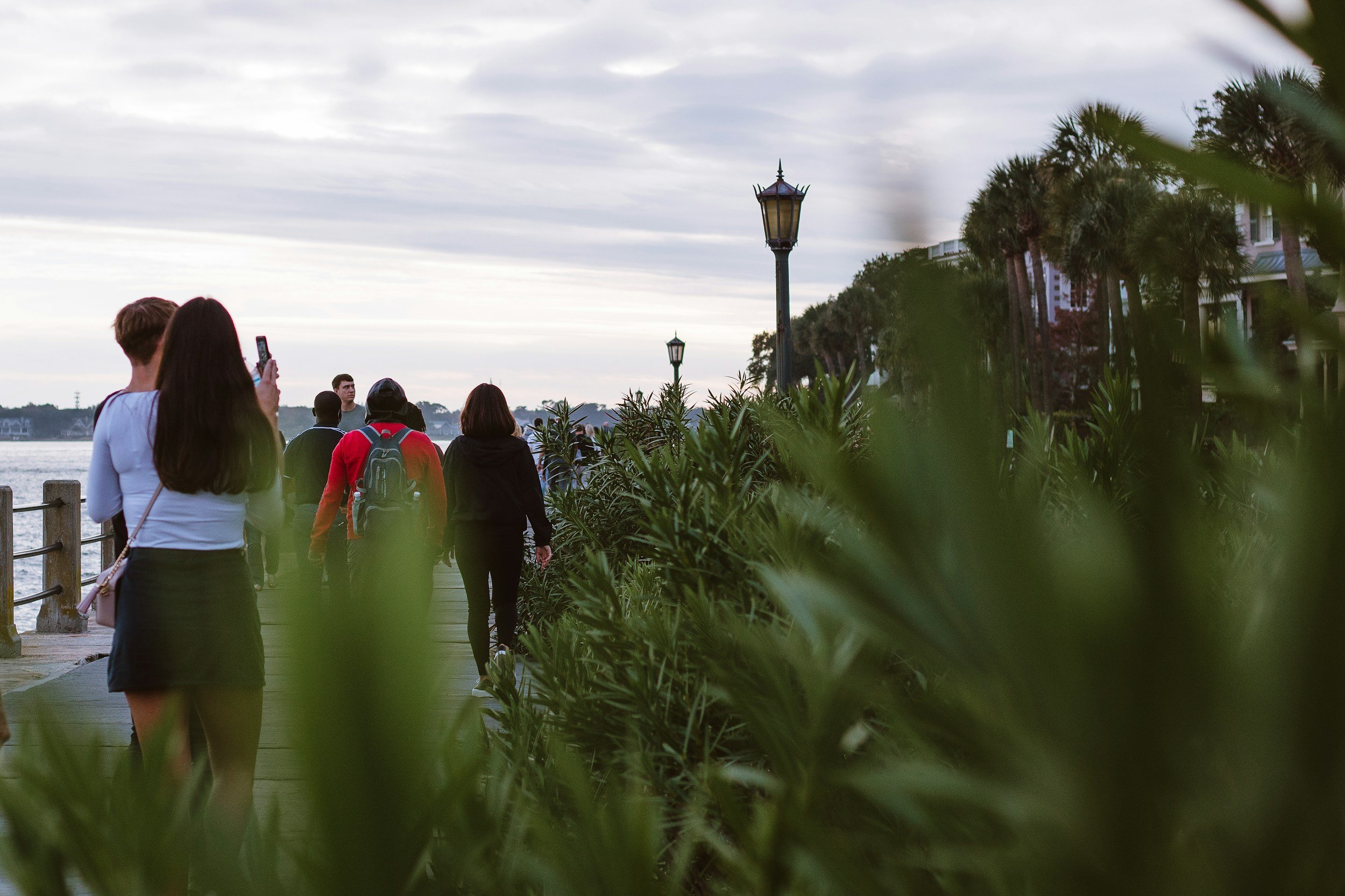 People walking along a waterfront promenade lined with green plants and palm trees, with street lamps, and a cloudy sky overhead.