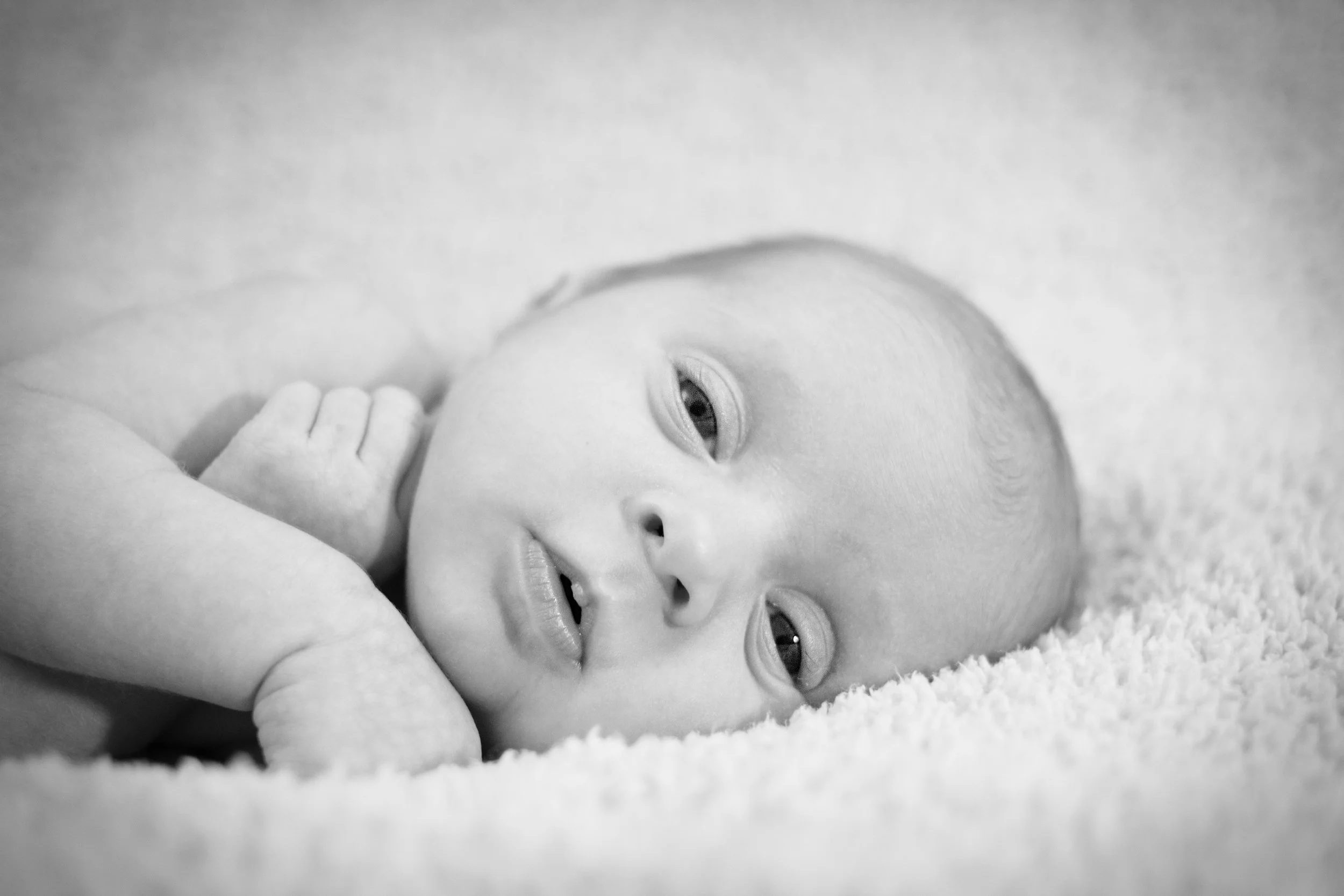 IMG_6714bw.jpg