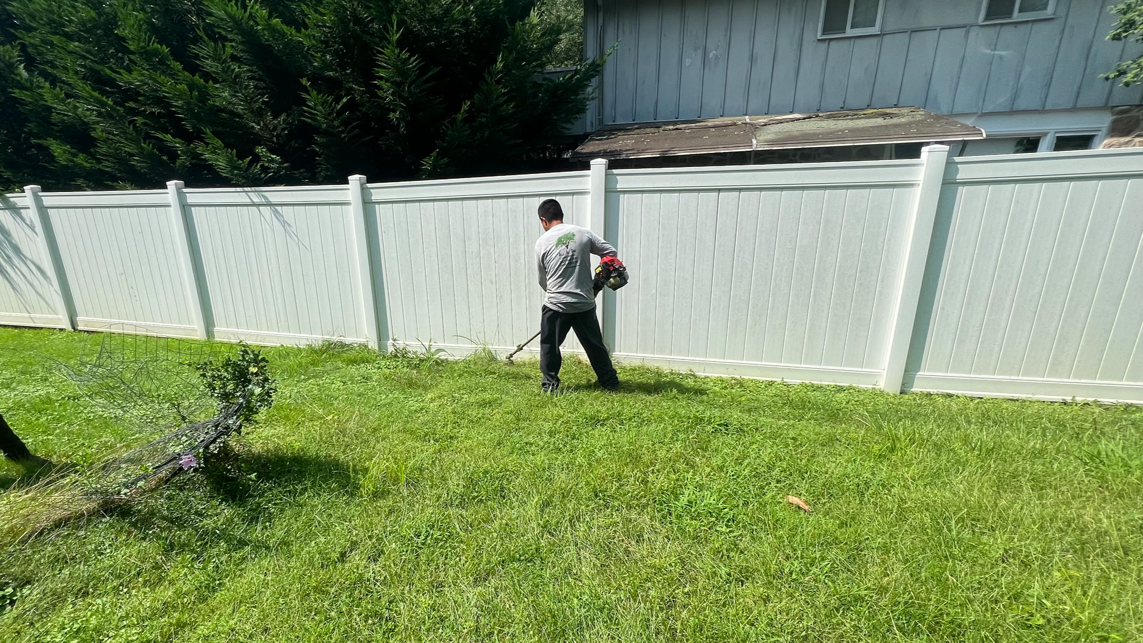 A man wearing a gray shirt and black pants is trimming grass with a string trimmer next to a white vinyl fence in a backyard with green grass and trees.