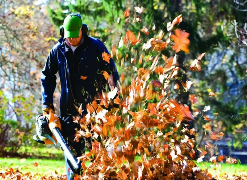Professional landscaper using a leaf blower to remove fallen leaves from a residential yard during fall cleanup.