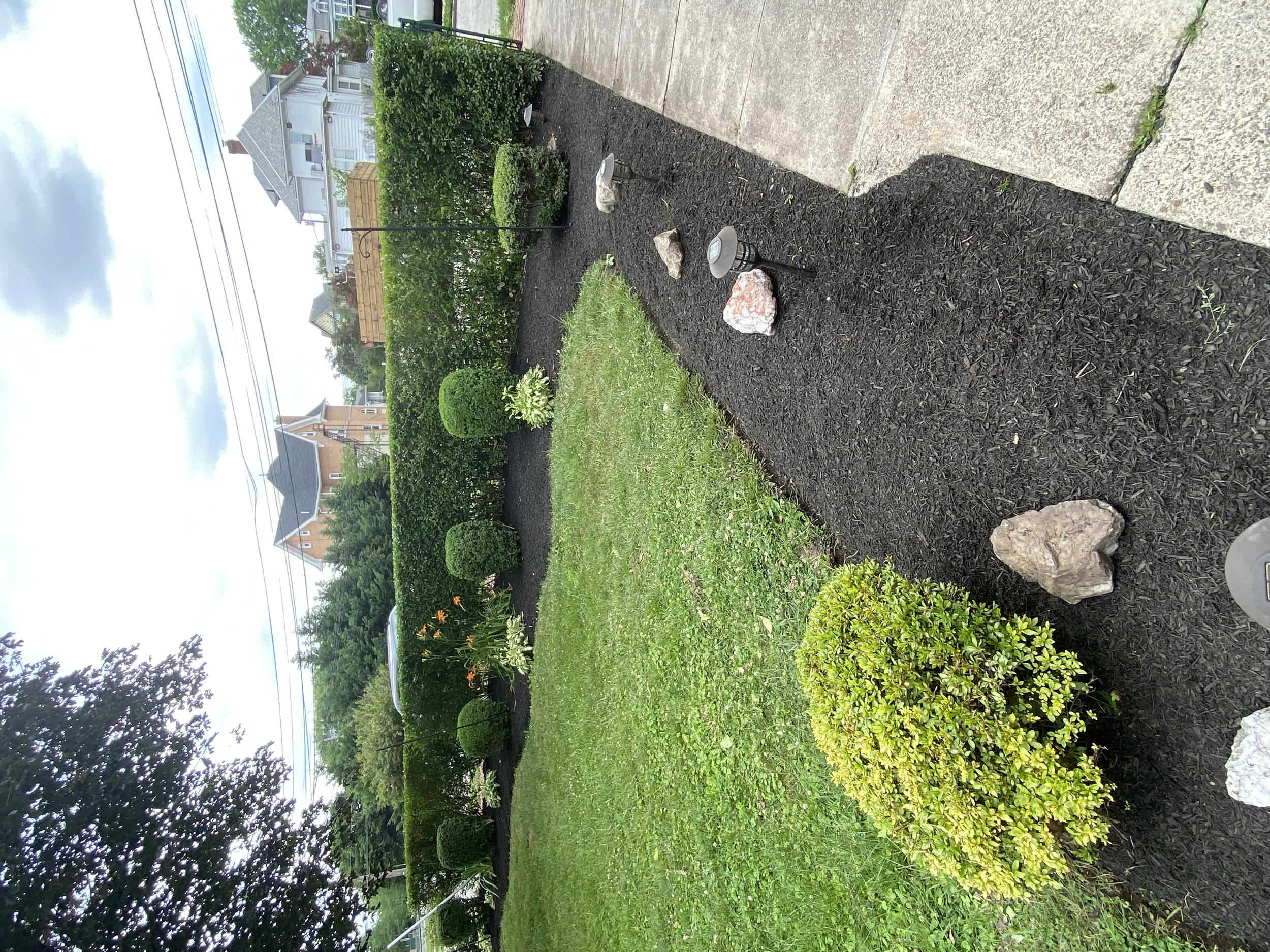 A well-maintained garden bed with neatly trimmed bushes, small yellow plants, and decorative rocks, bordered by black mulch, with a concrete walkway on the right side and a lawn on the left. In the background, there is a tall hedge, a sidewalk, and h