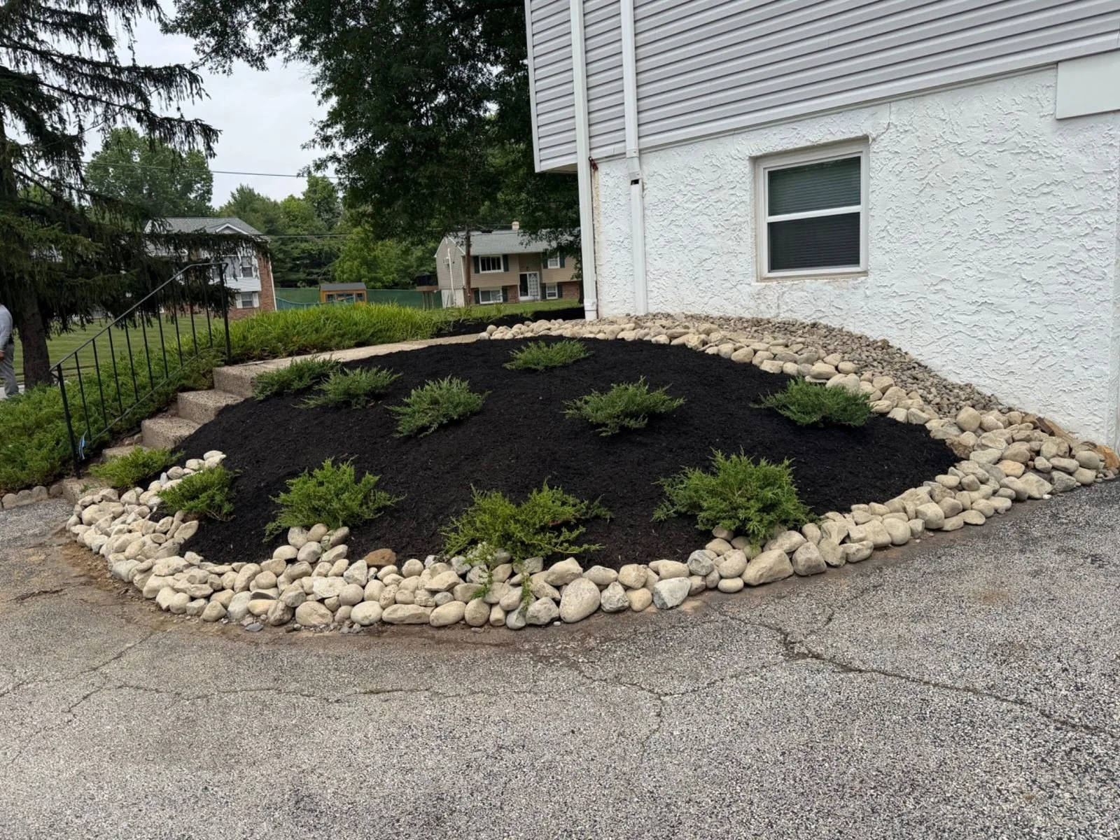 Residential landscape bed featuring fresh black mulch, ornamental shrubs, and decorative river rock edging, creating a clean and attractive garden area alongside the home.
