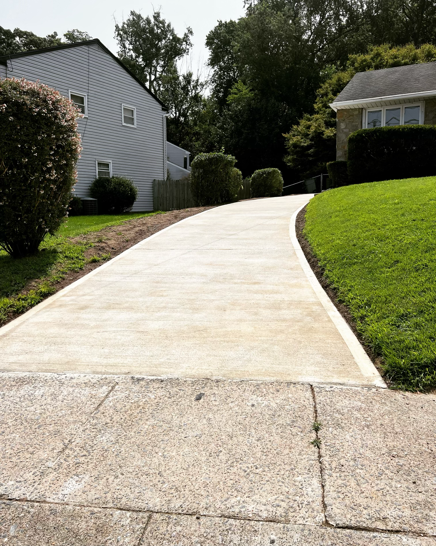 A concrete driveway curves upward between green lawns, with bushes and trees on either side, leading to houses in a suburban neighborhood.