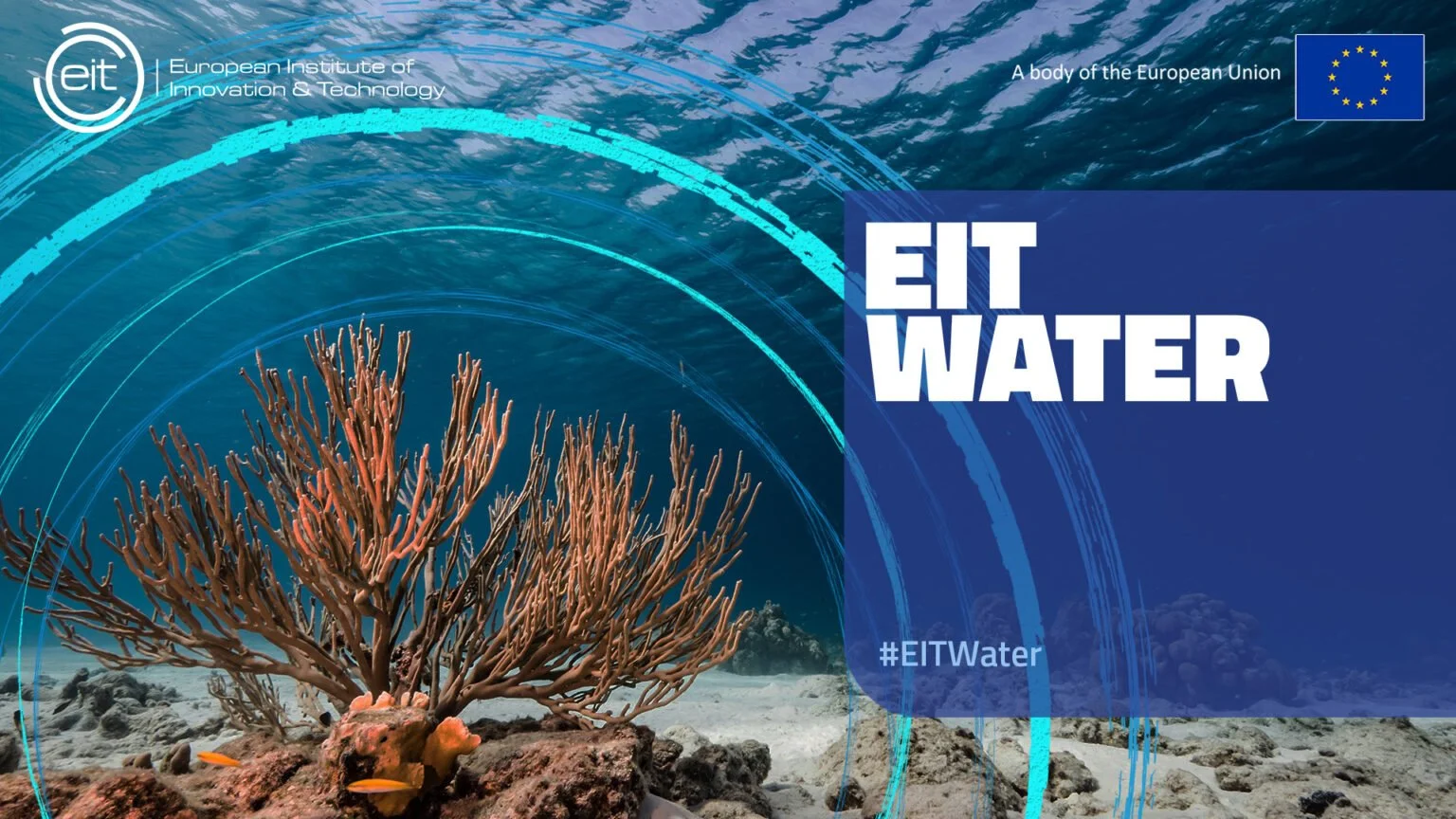 EIT_W16-1536x864.jpg