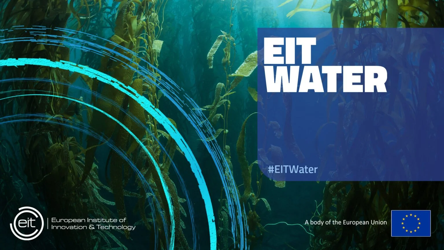 EIT_W14-1536x864.jpg