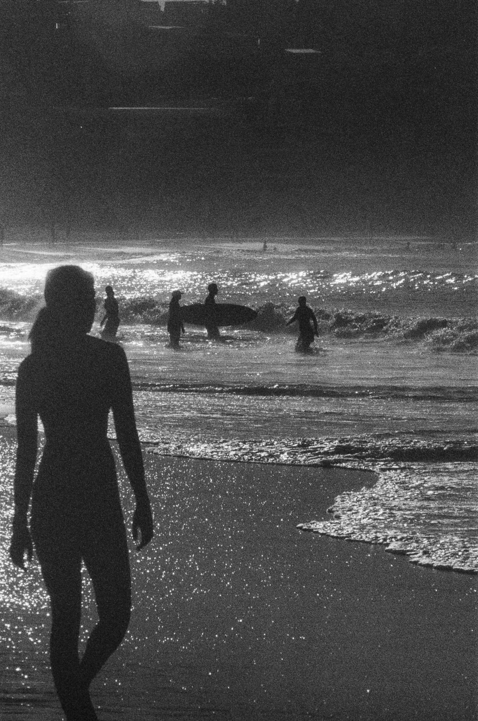 Silhouettes of people on a beach at night, some with surfboards, ocean waves illuminated by moonlight.