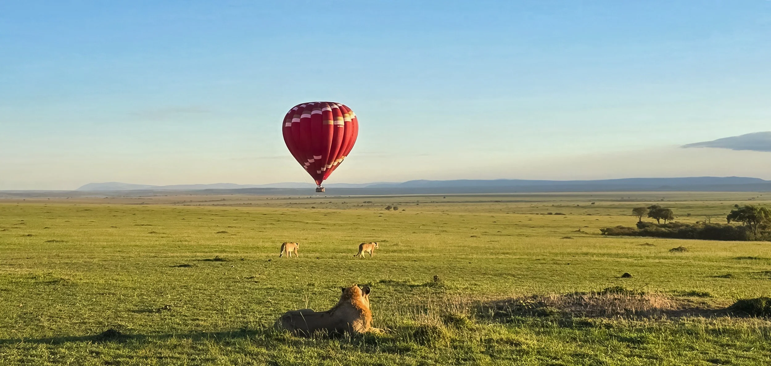 Africa