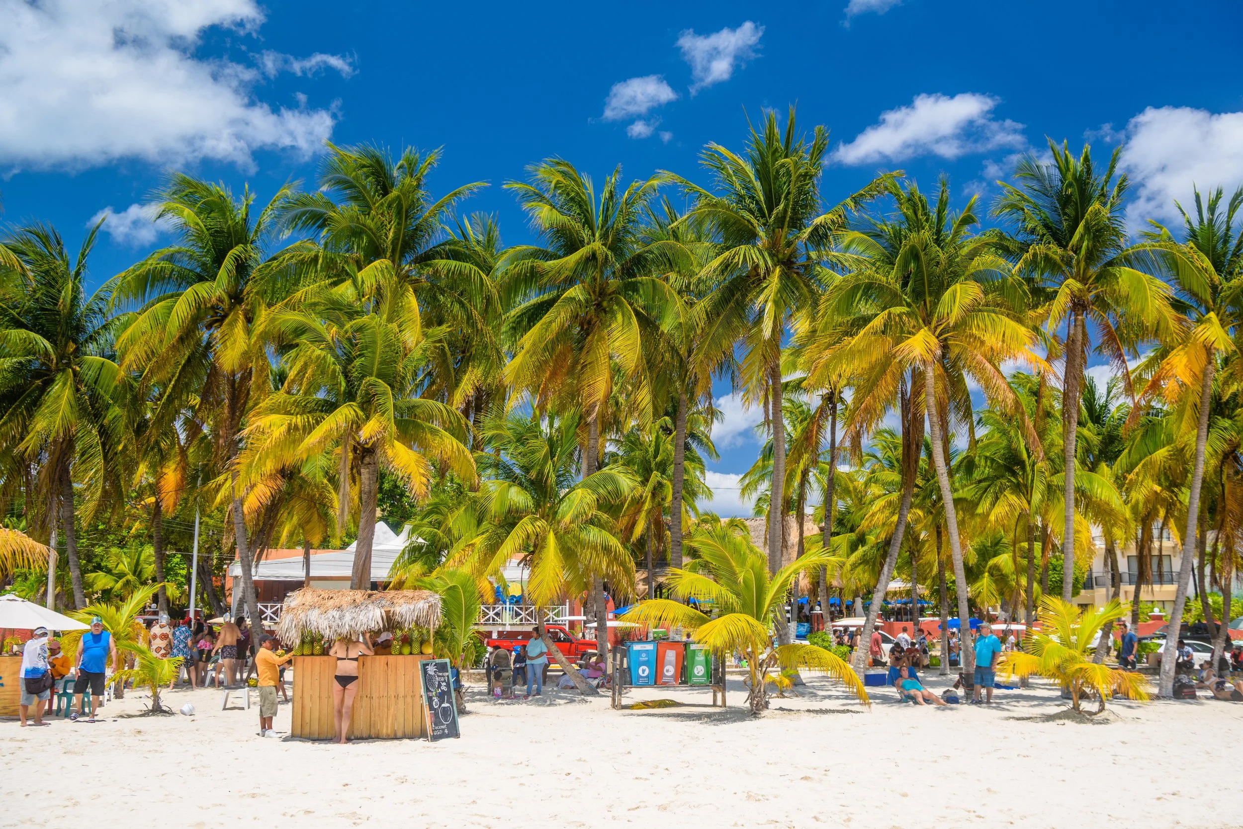 vecteezy_cocos-beach-bar-on-a-beach-with-white-sand-and-palms-on-a_10648025.JPG