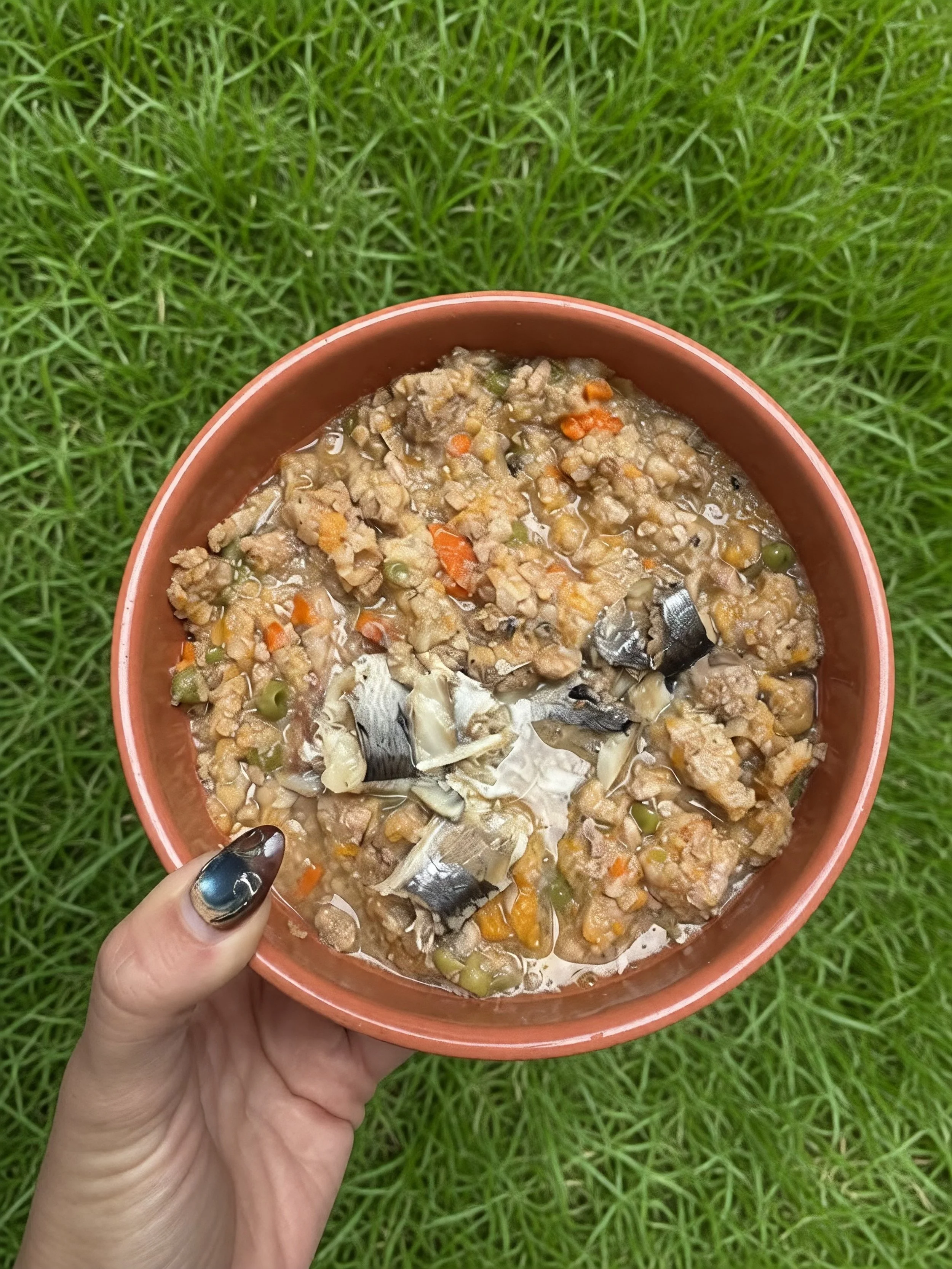A person's hand holding a brown bowl filled with home cooked dog food, with a grassy background.