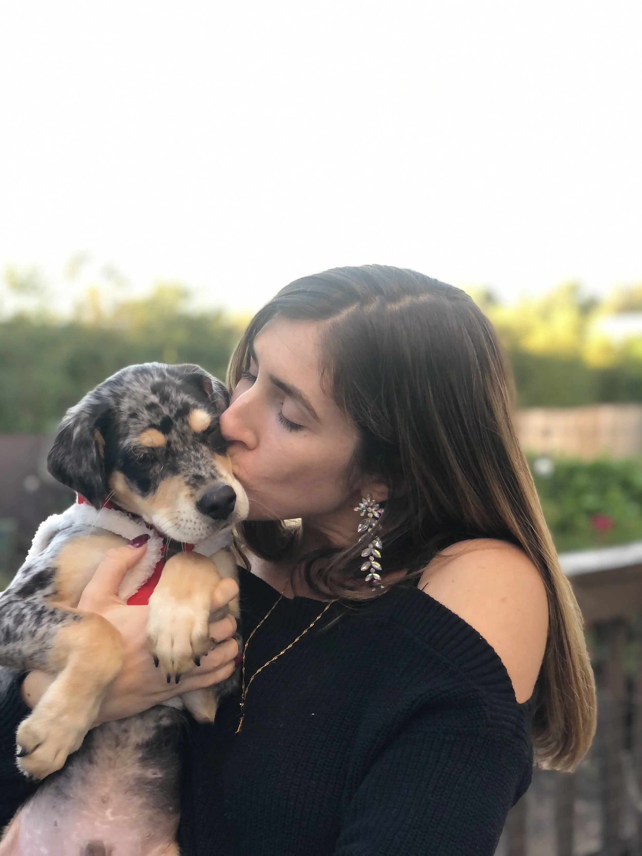 A woman with brown hair wearing earrings and a black top holding a cute puppy with a merle coat and a red collar, gently kissing it outdoors with blurred greenery in background.