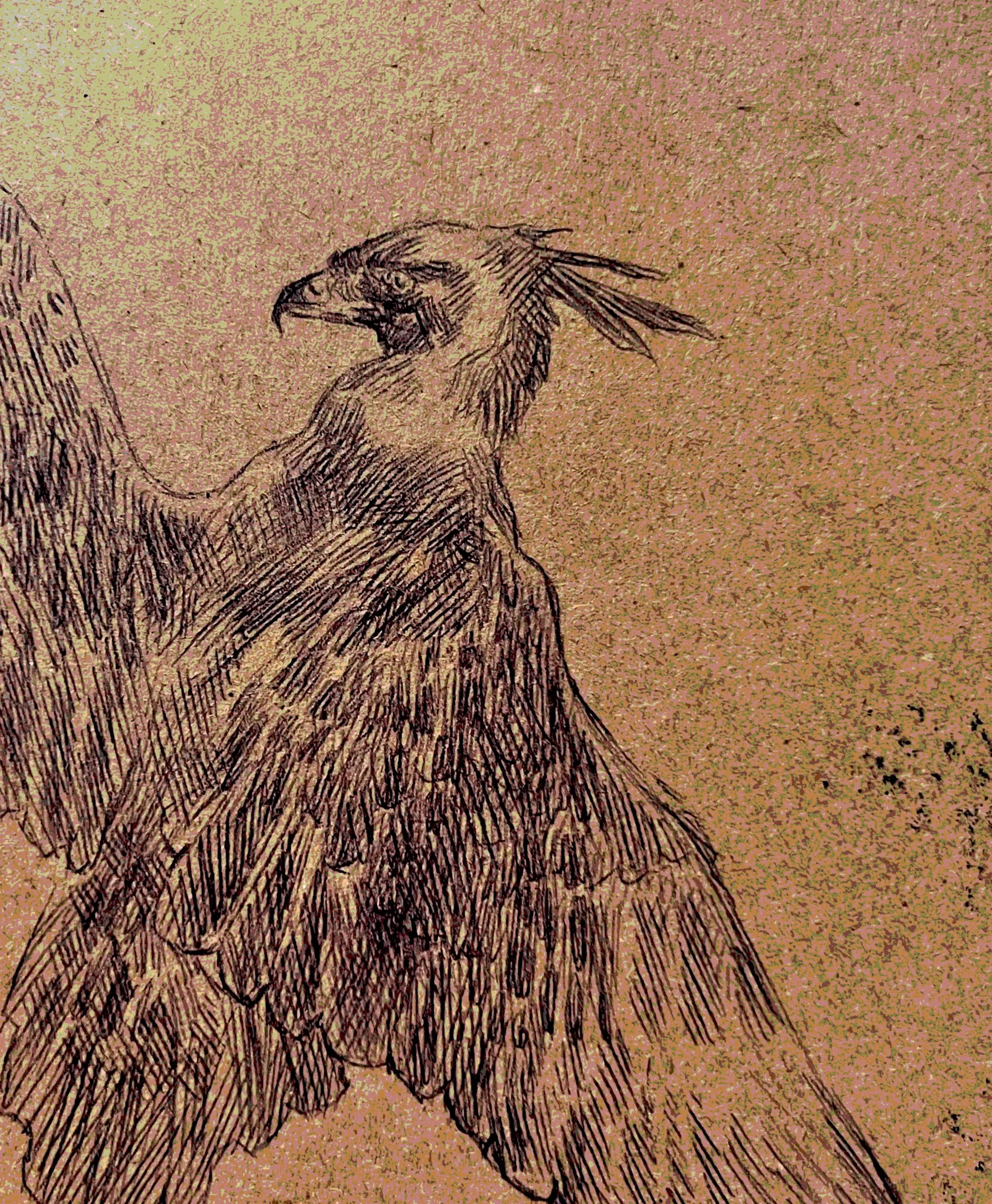 DRAWINGS