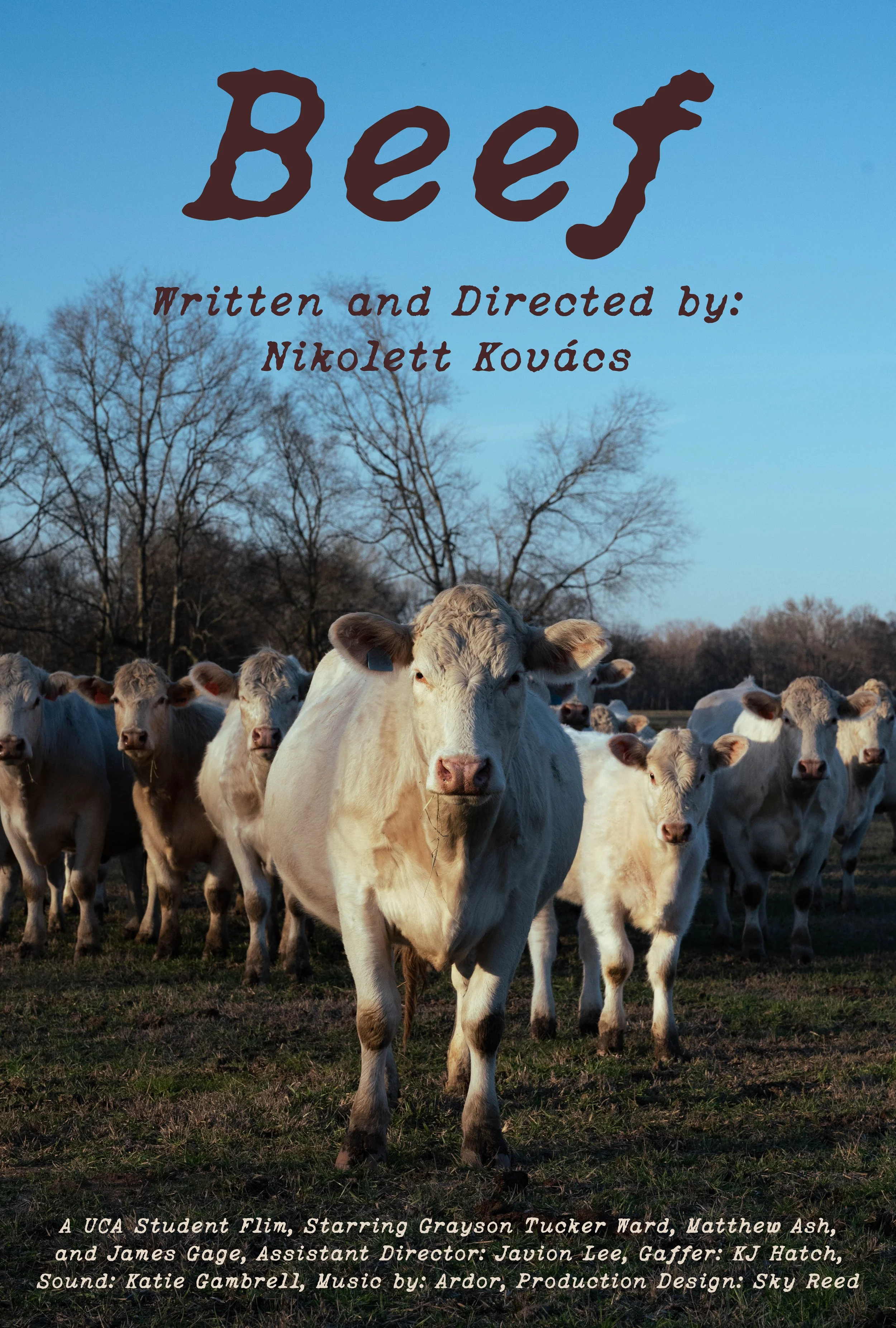 Film Poster