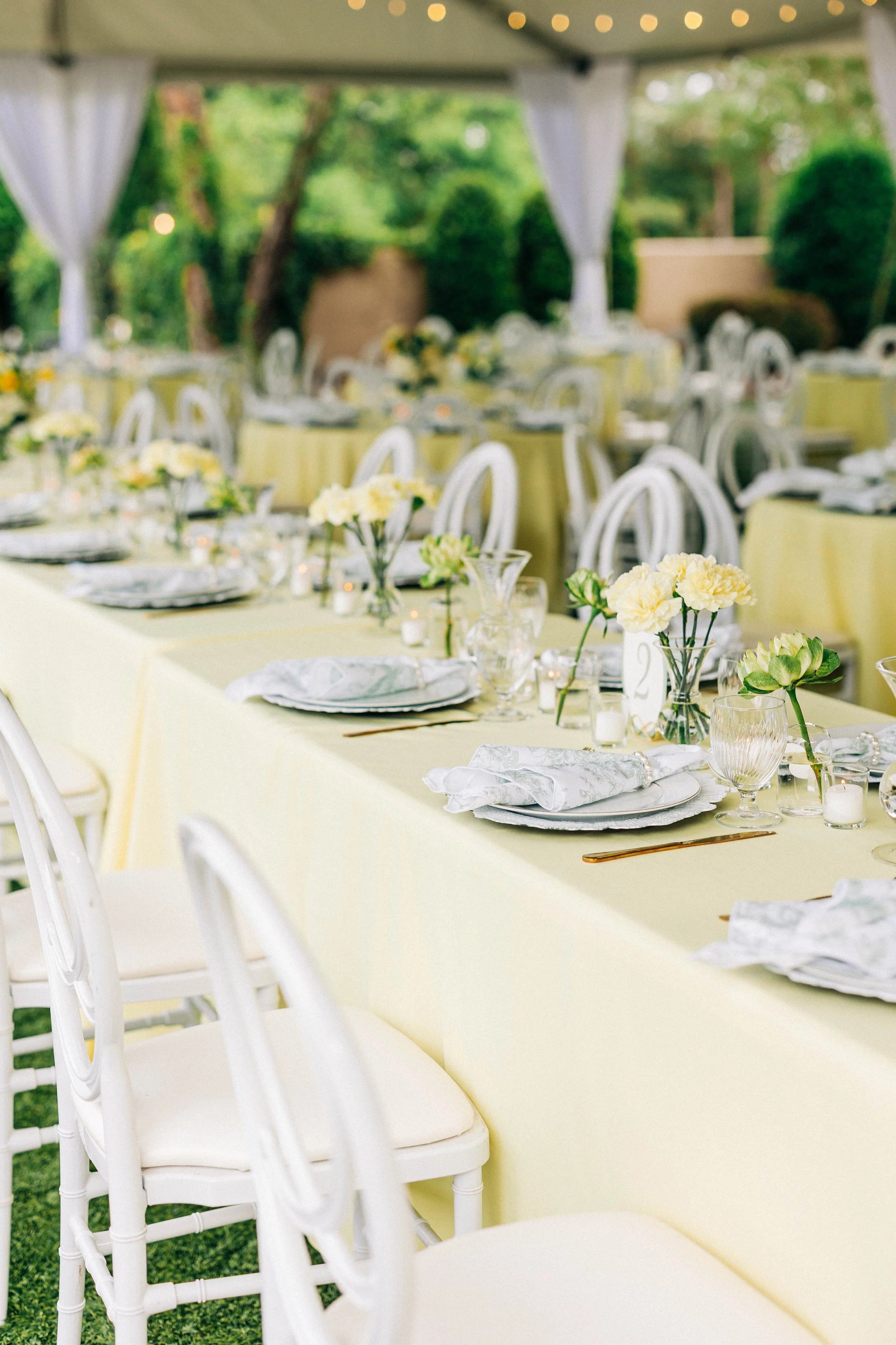 fountainview-mansion-wedding-auburn-al-wedding-auburn-wedding-dj-auburn-alabama-wedding-venue2.jpg