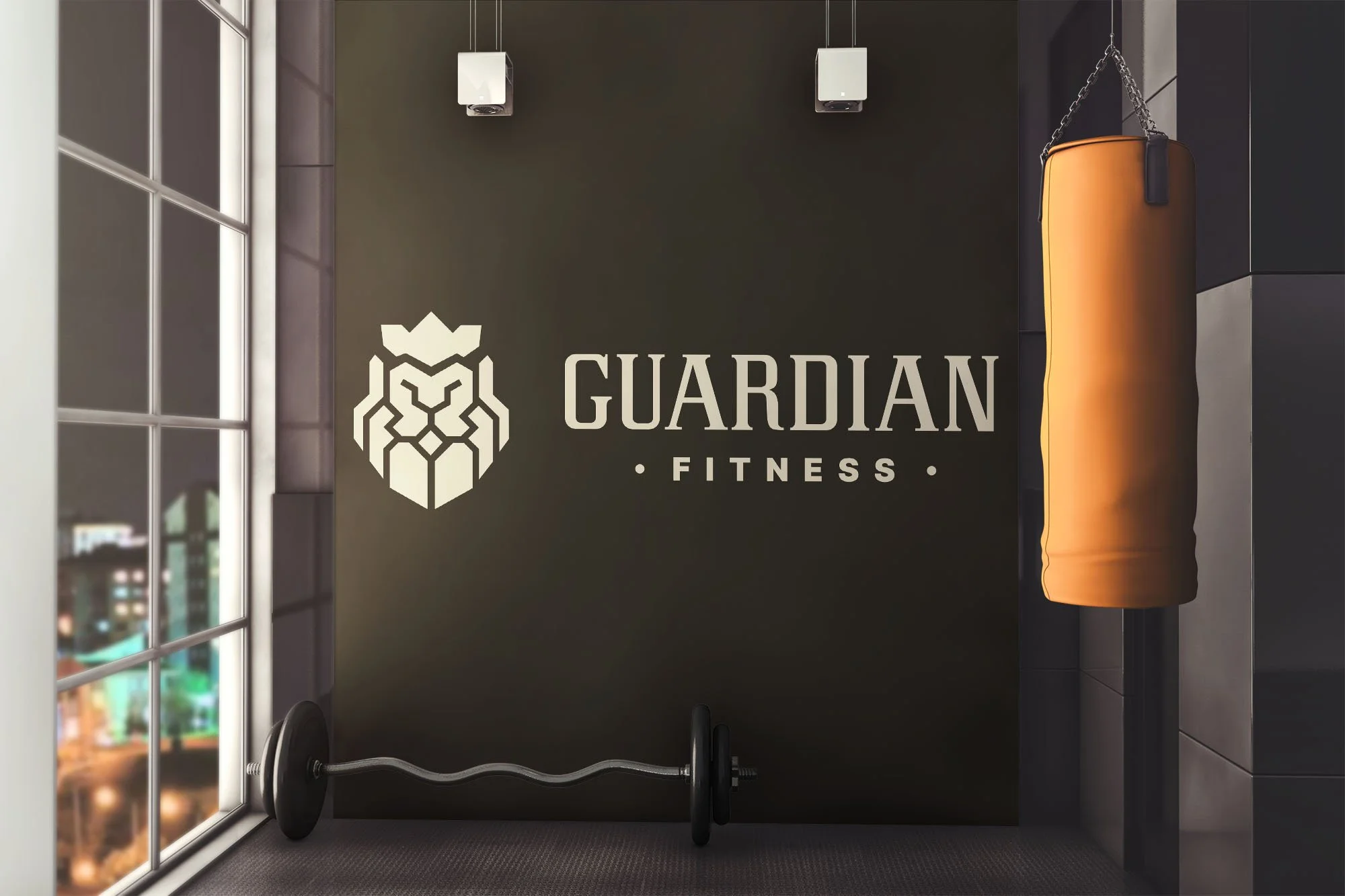 Guardian_Fitness_Cover_Image.JPG
