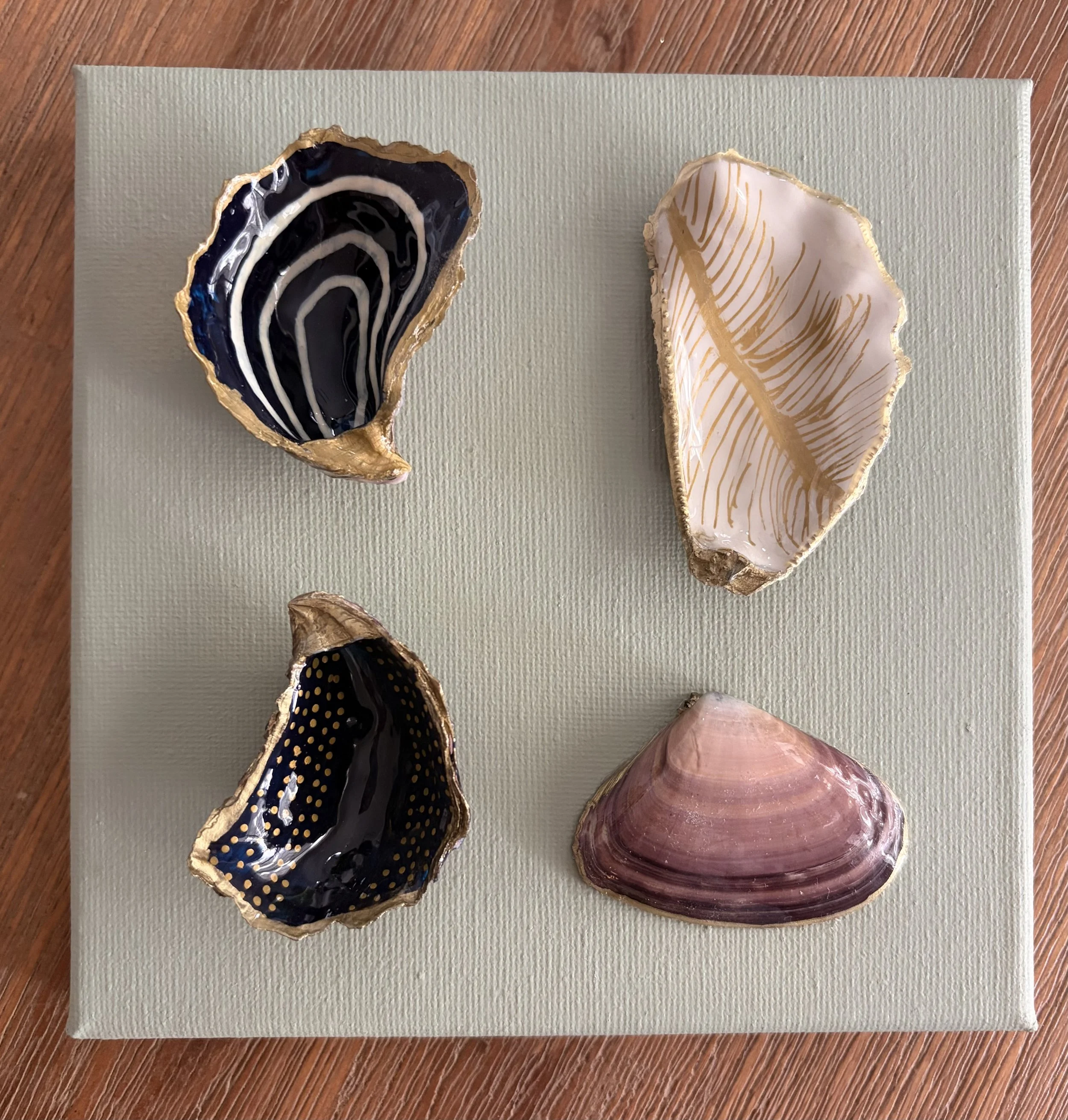 Green shell on tinber background.jpeg