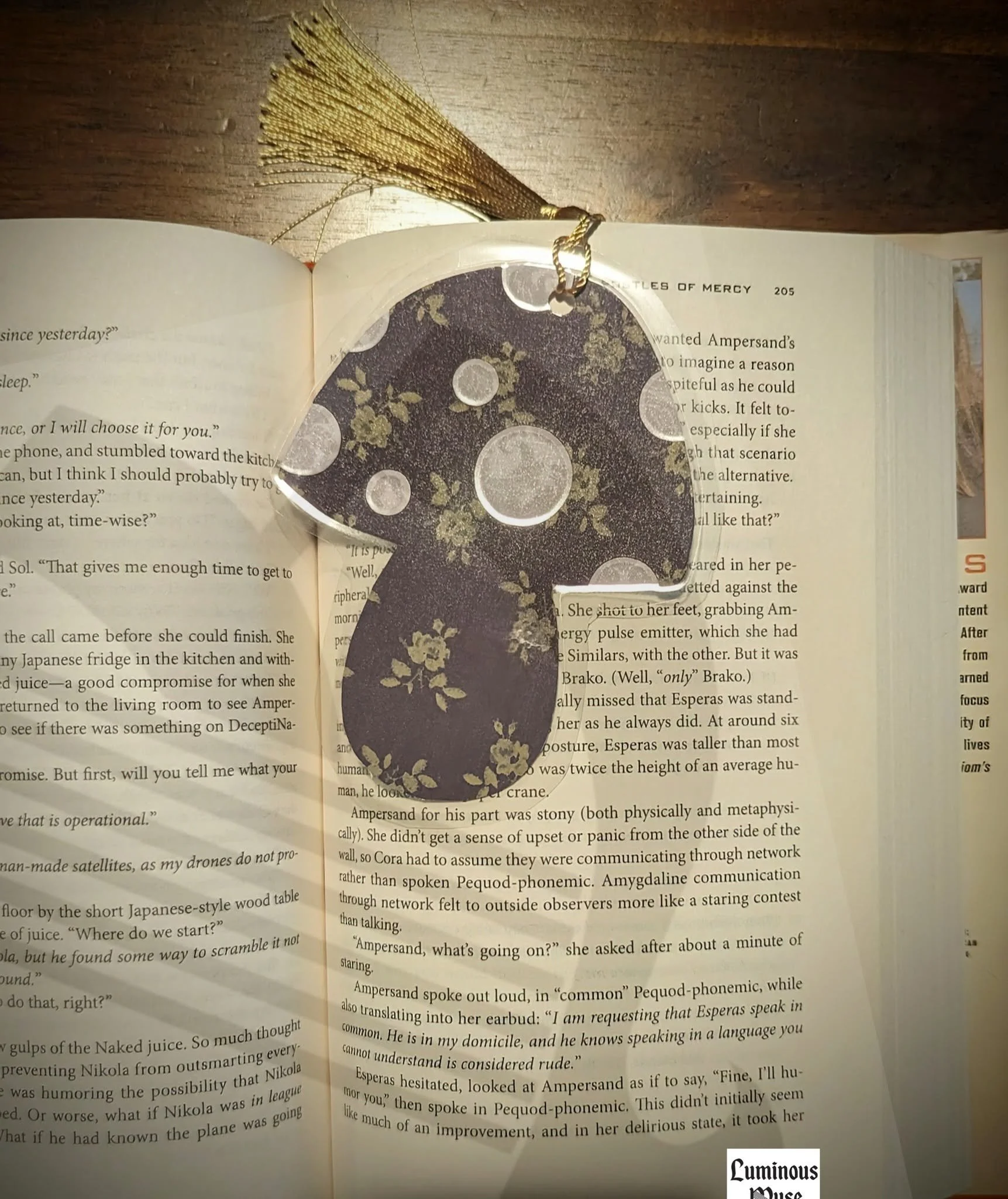 541795589_787685673776274_4539441548814587314_n.jpg