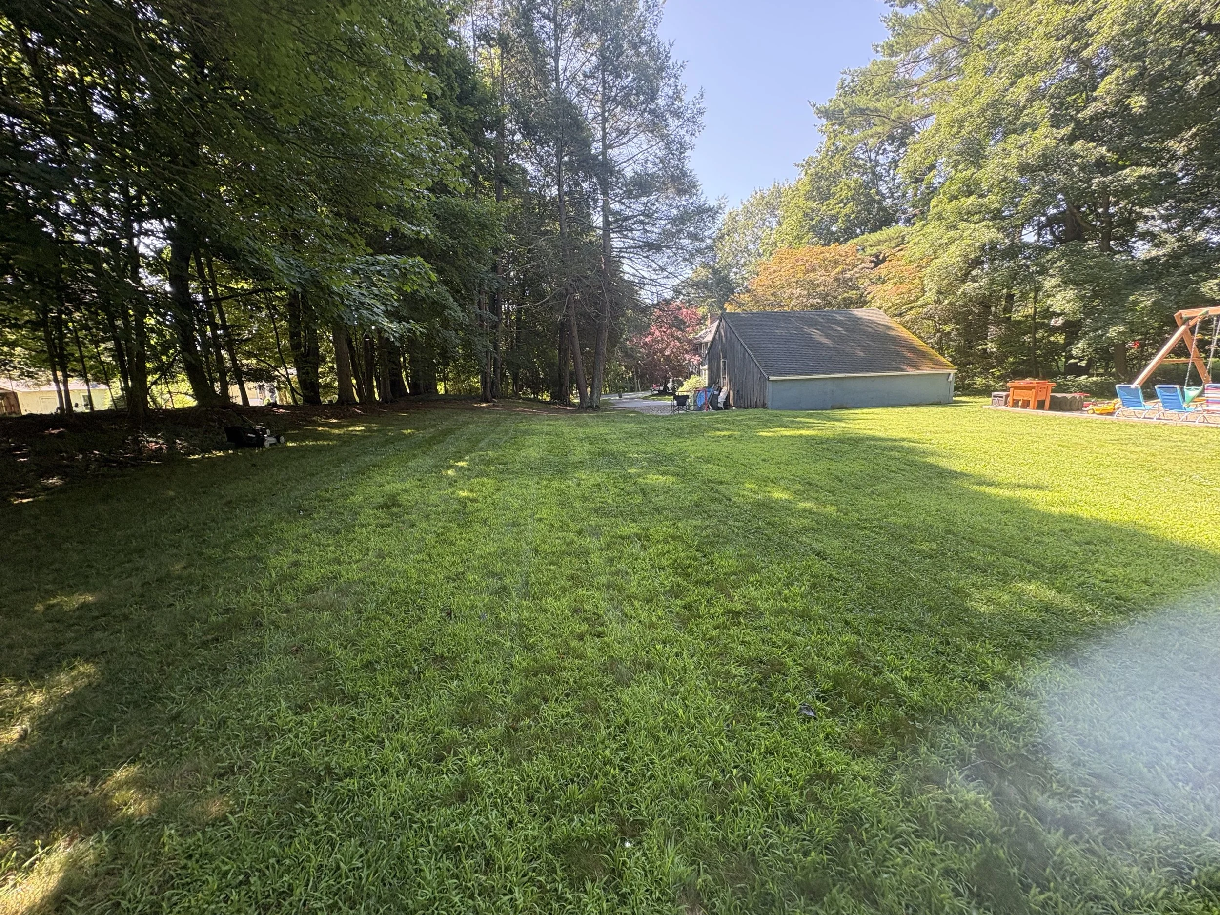 A backyard with green grass, trees, a small gray shed, a swing set, and some outdoor toys.