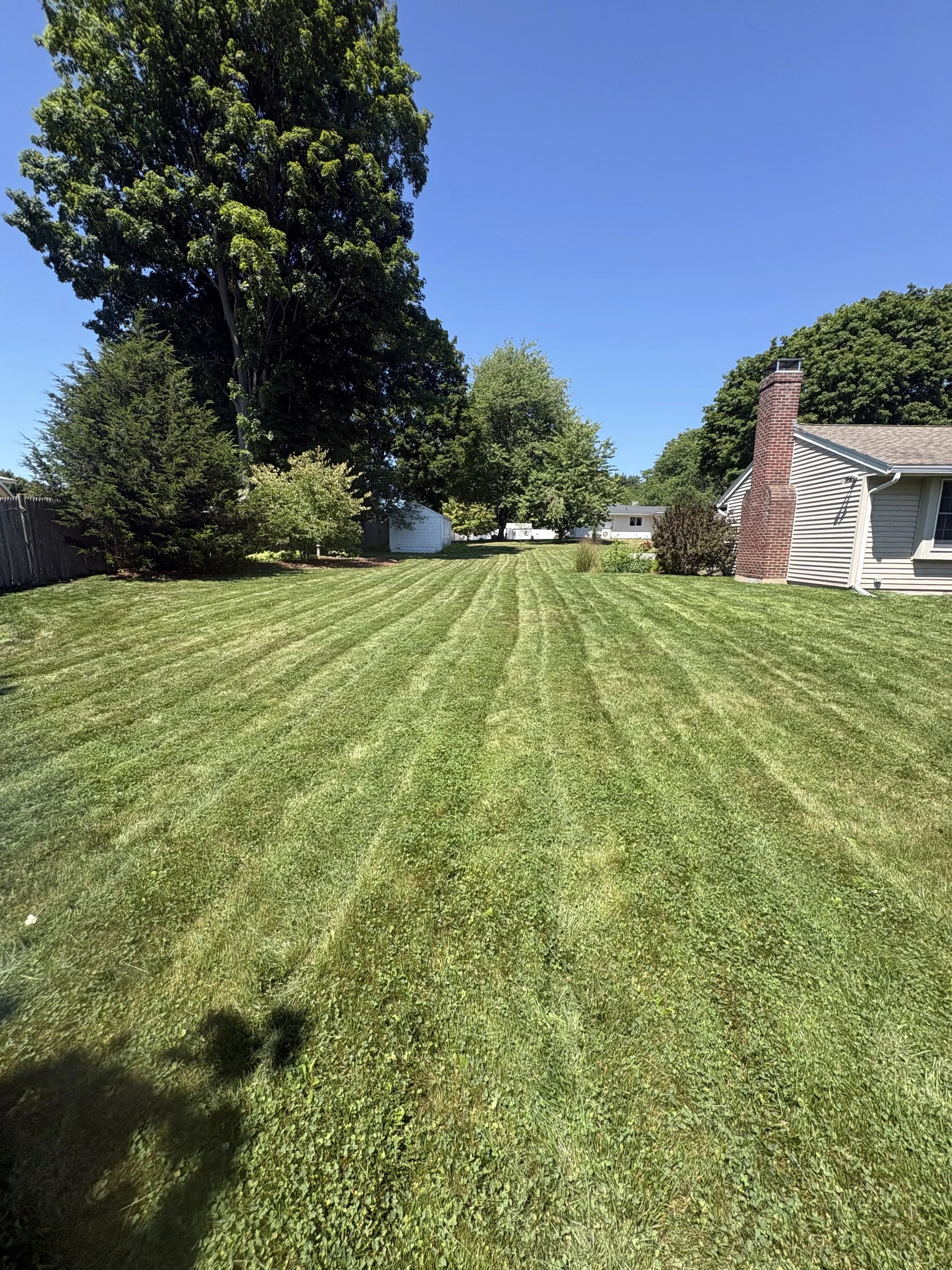 A backyard with a well-maintained green lawn, several trees including a tall one on the left, a house with a chimney on the right, and a clear blue sky.