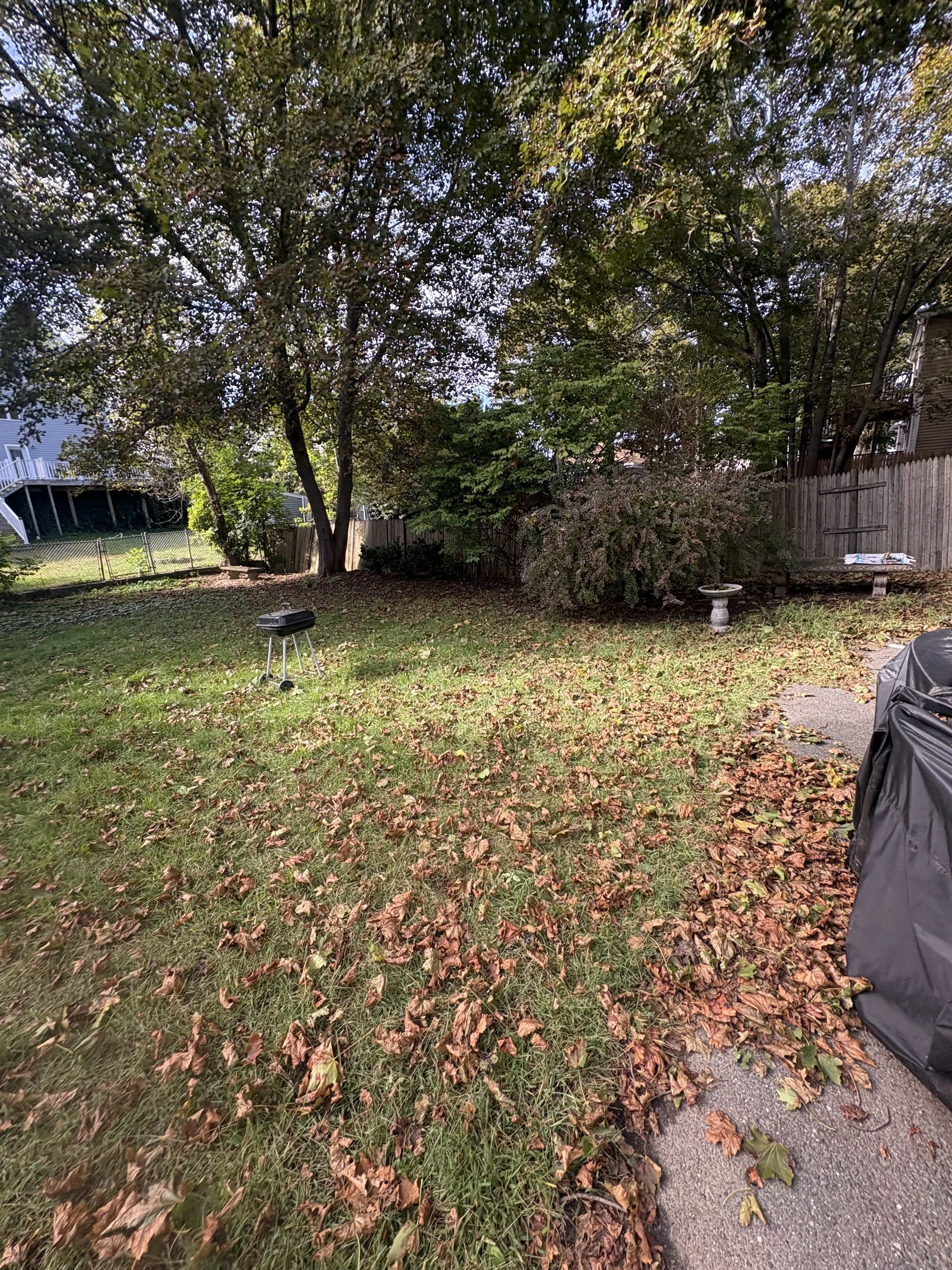 Backyard scene with trees, fallen leaves, a grill, a bird bath, a bench, a fence, and neighboring houses.