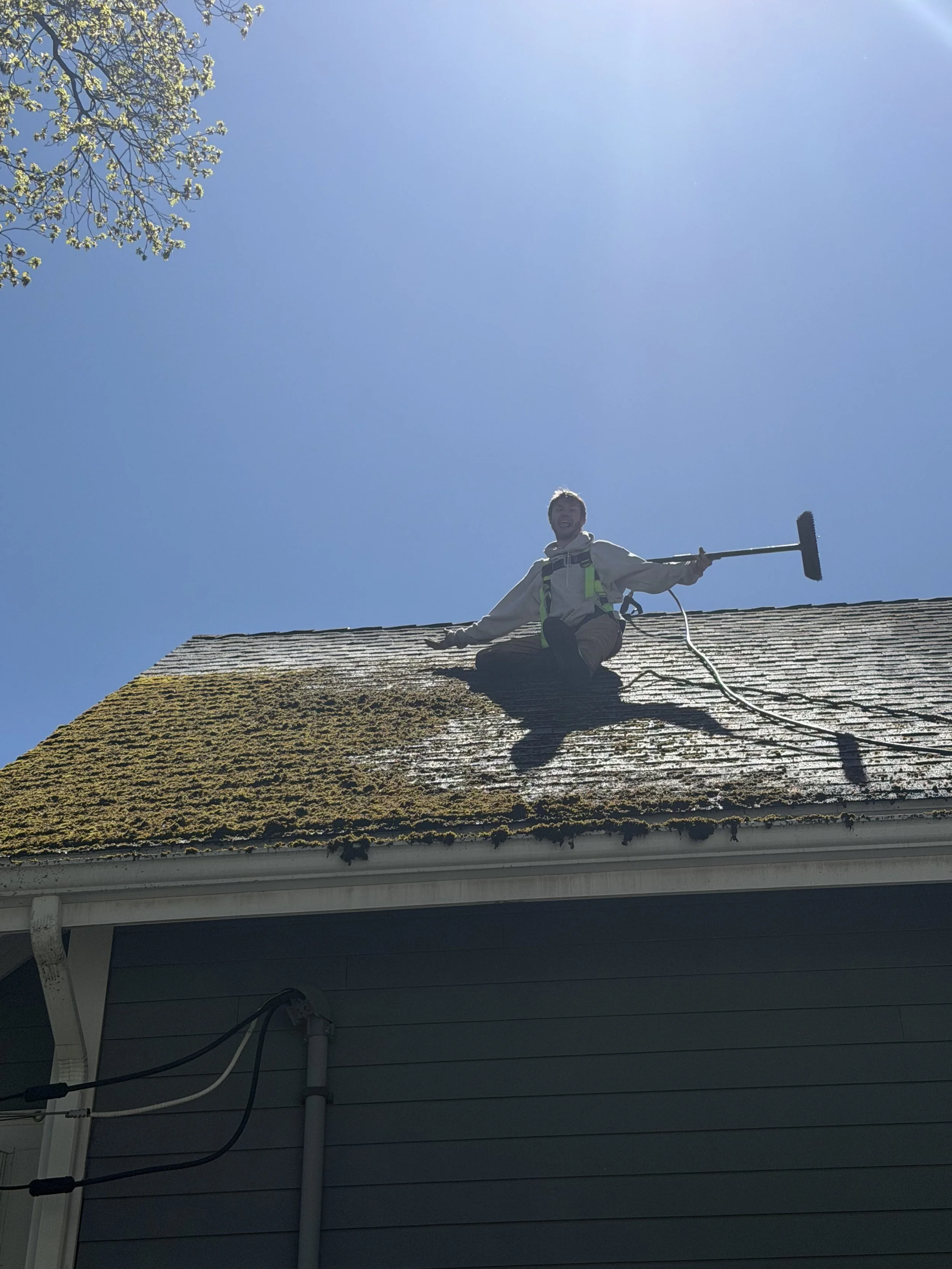 Man kneeling on the roof of a house with a roof rake, cleaning moss and debris from the shingles on a sunny day.