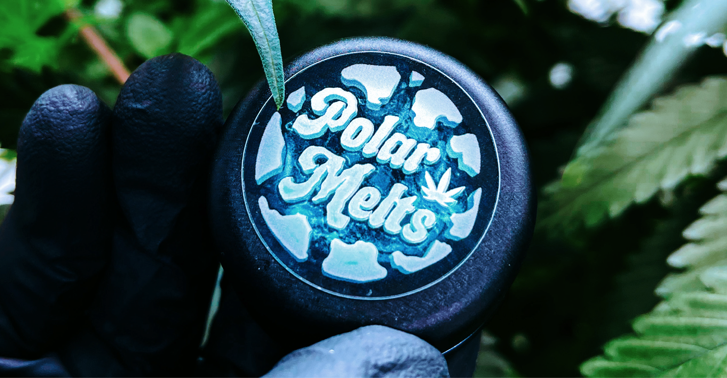 Polar Melts 2.png