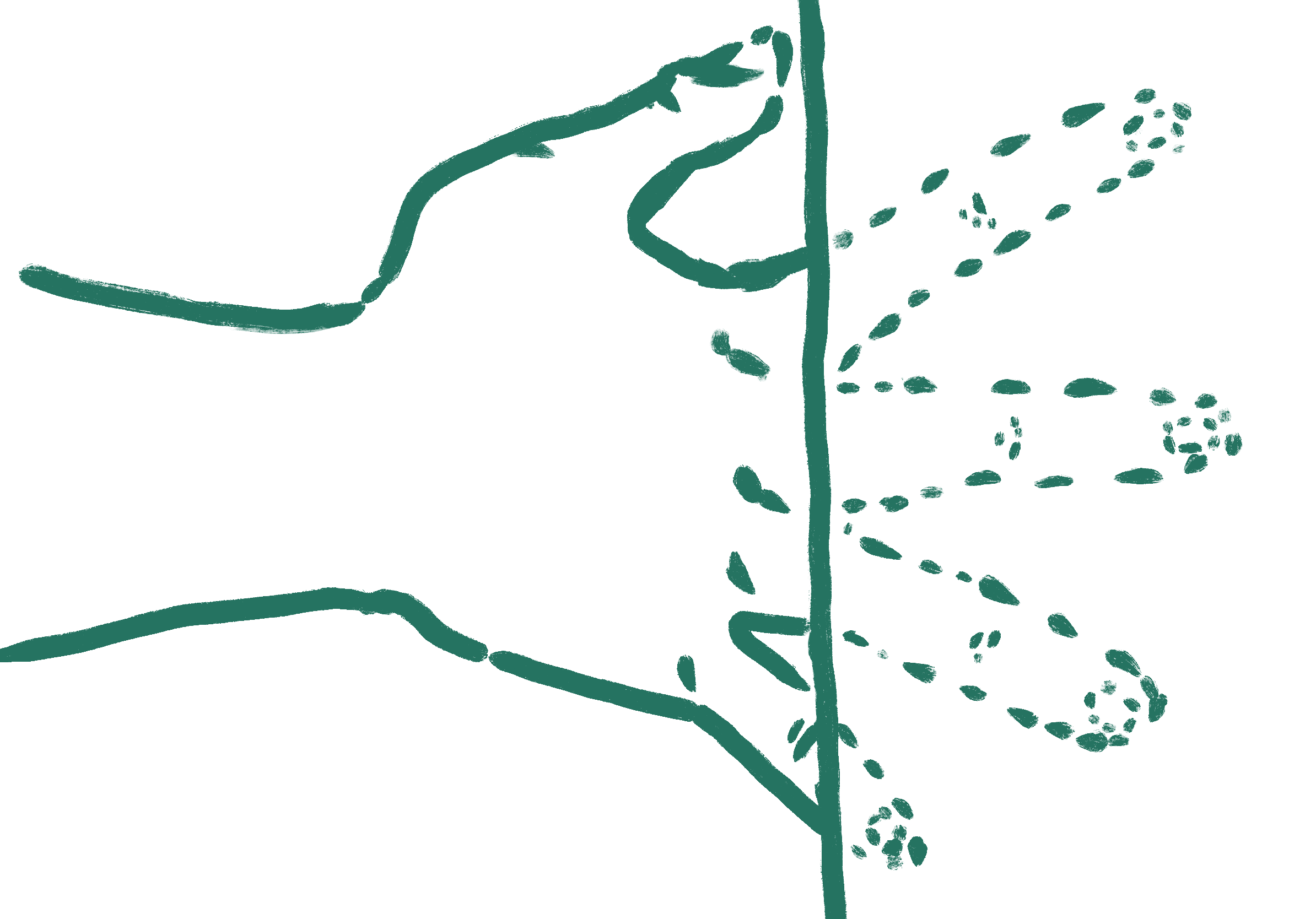 Diagram of a hand watering a plant from a watering can.