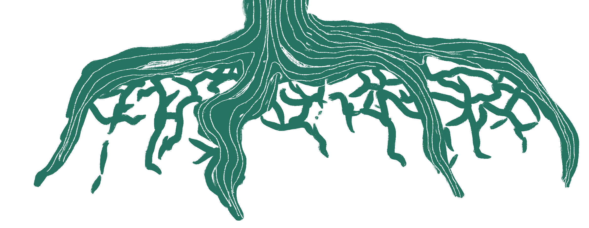 Illustration of a spider with detailed body and multiple legs extending outward.