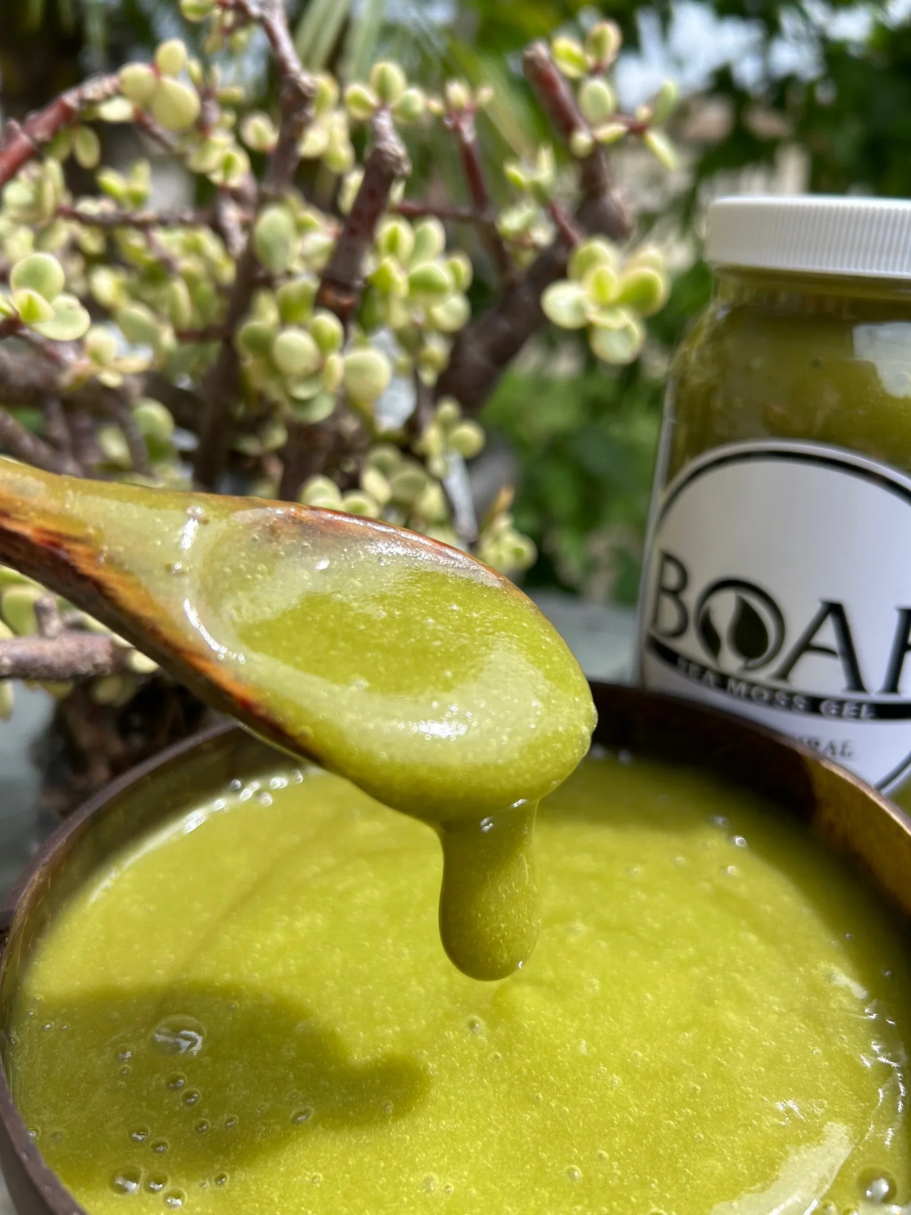 Green liquid being poured from a spoon into a bowl, with a plant and a jar labeled 'BOWL' in the background.