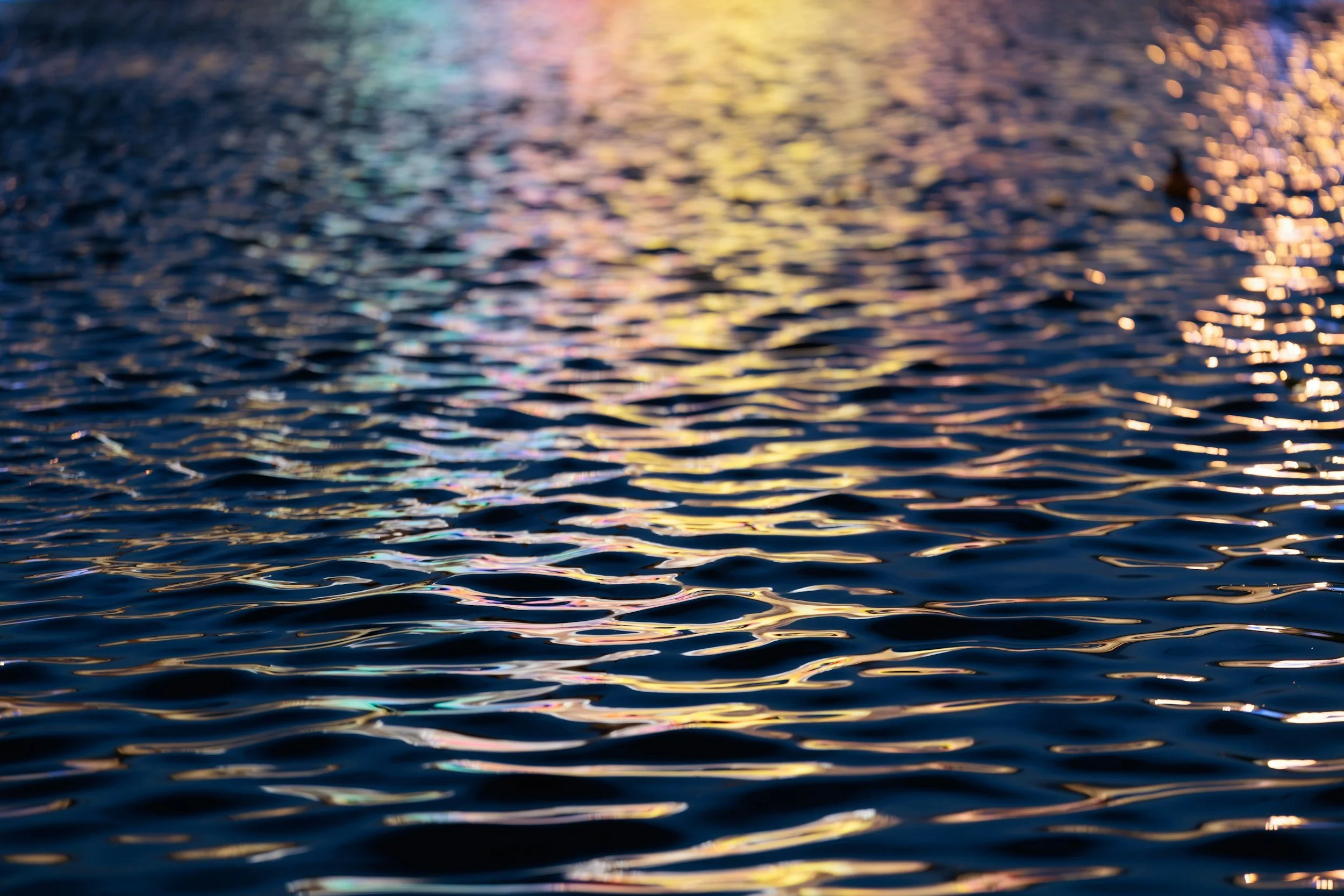 unsplash-image-IckQbgJHork.jpg