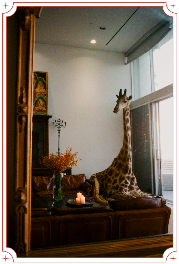 Living room with a mounted giraffe head, a couch, a glass vase with orange flowers, lit candles, and a dark wooden cabinet, reflected in a mirror.