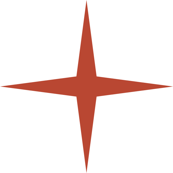 A four-pointed star with a brown outer shape and a black background.