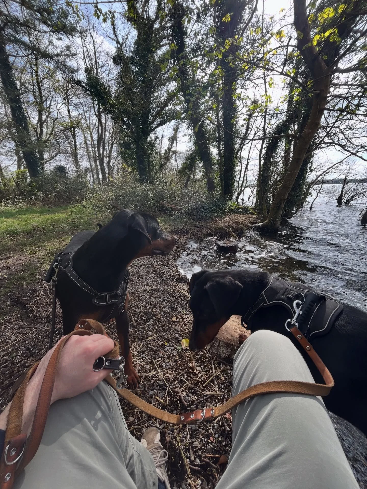 Happy sunny Wednesday ☀️ We can&rsquo;t wait for the summer meet ups at lakes, beaches &amp; waterways across Ireland this summer ☀️ Lots of exciting plans happening! Stay tuned for regular updates on meet up announcements &amp; membership 👀 

#bark