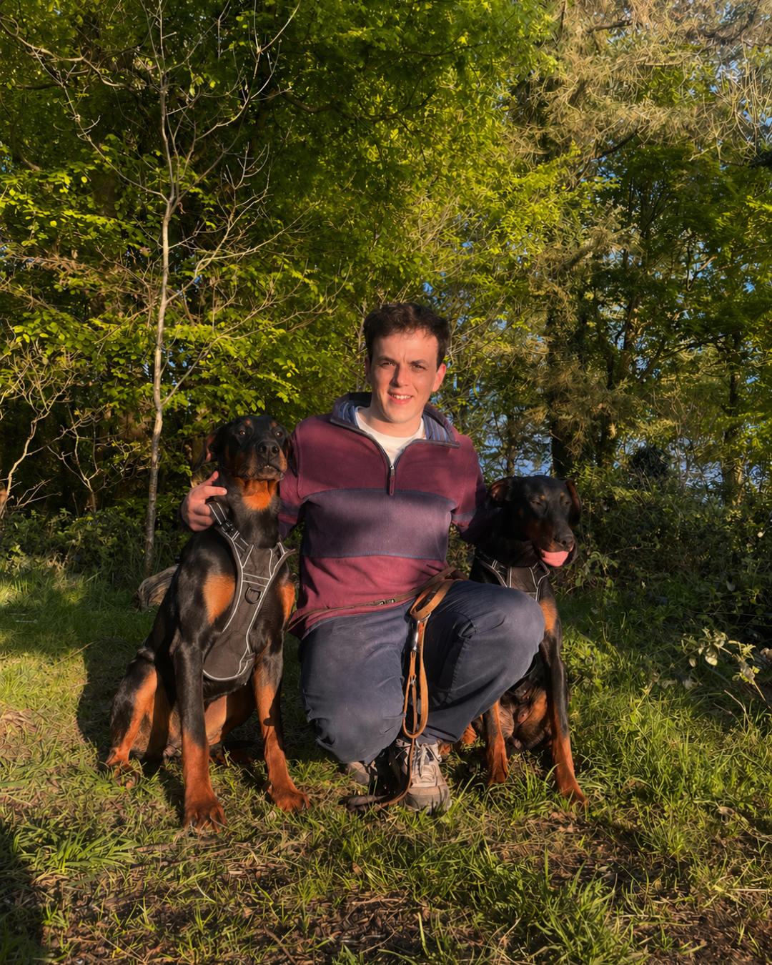 A man kneeling outdoors with two Rottweiler dogs, surrounded by green trees and grass.