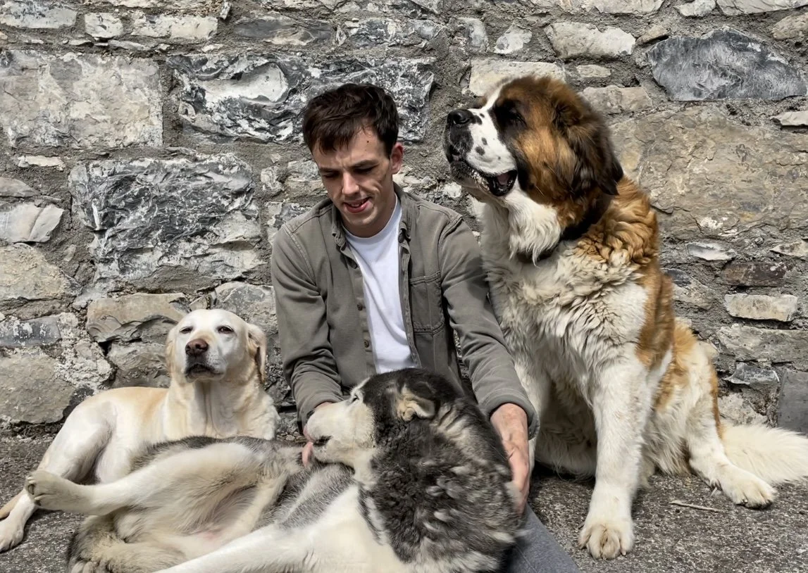 A man in a gray shirt surrounded by four dogs, including a large Saint Bernard, a Siberian Husky, a Labrador Retriever, and a yellow Labrador, sitting against a stone wall.