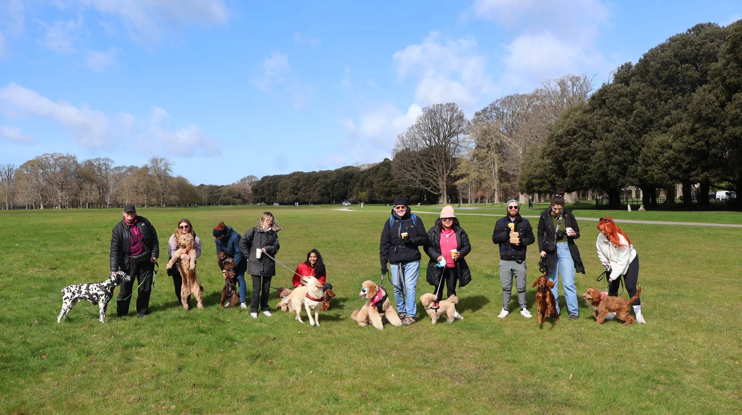 Group of people walking their dogs in a park on a partly cloudy day with green grass and trees in the background.