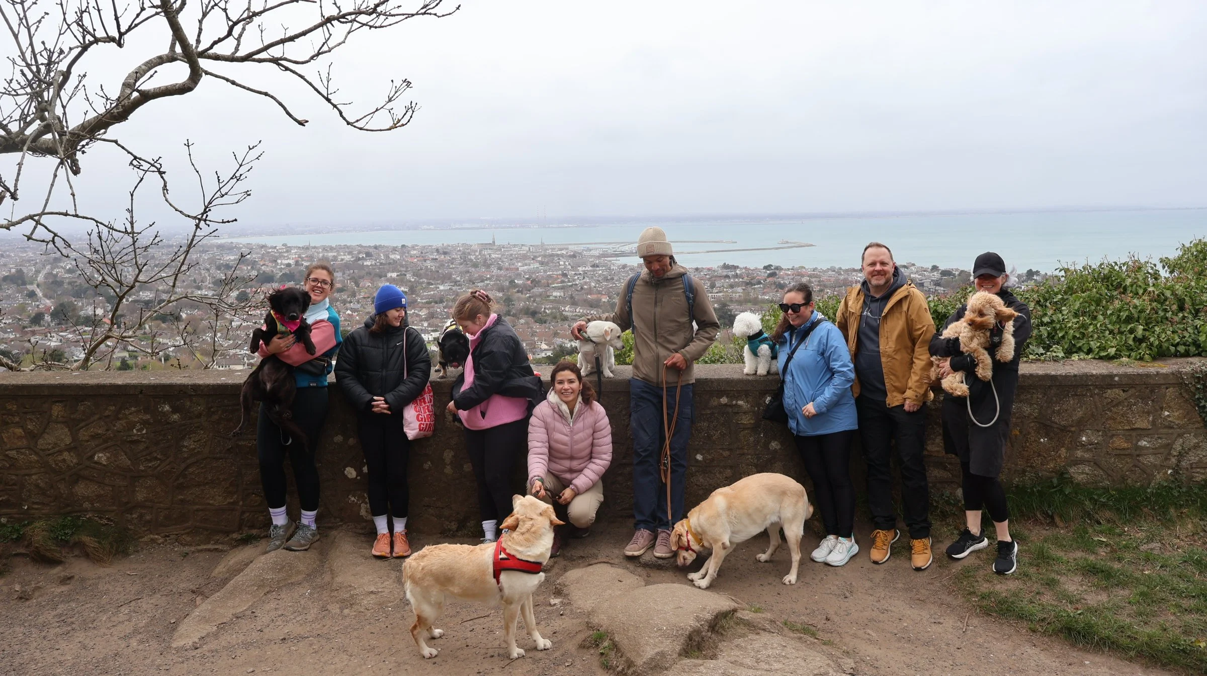 A group of people and dogs pose for a photo on a hill with a city and water in the background, overcast sky.