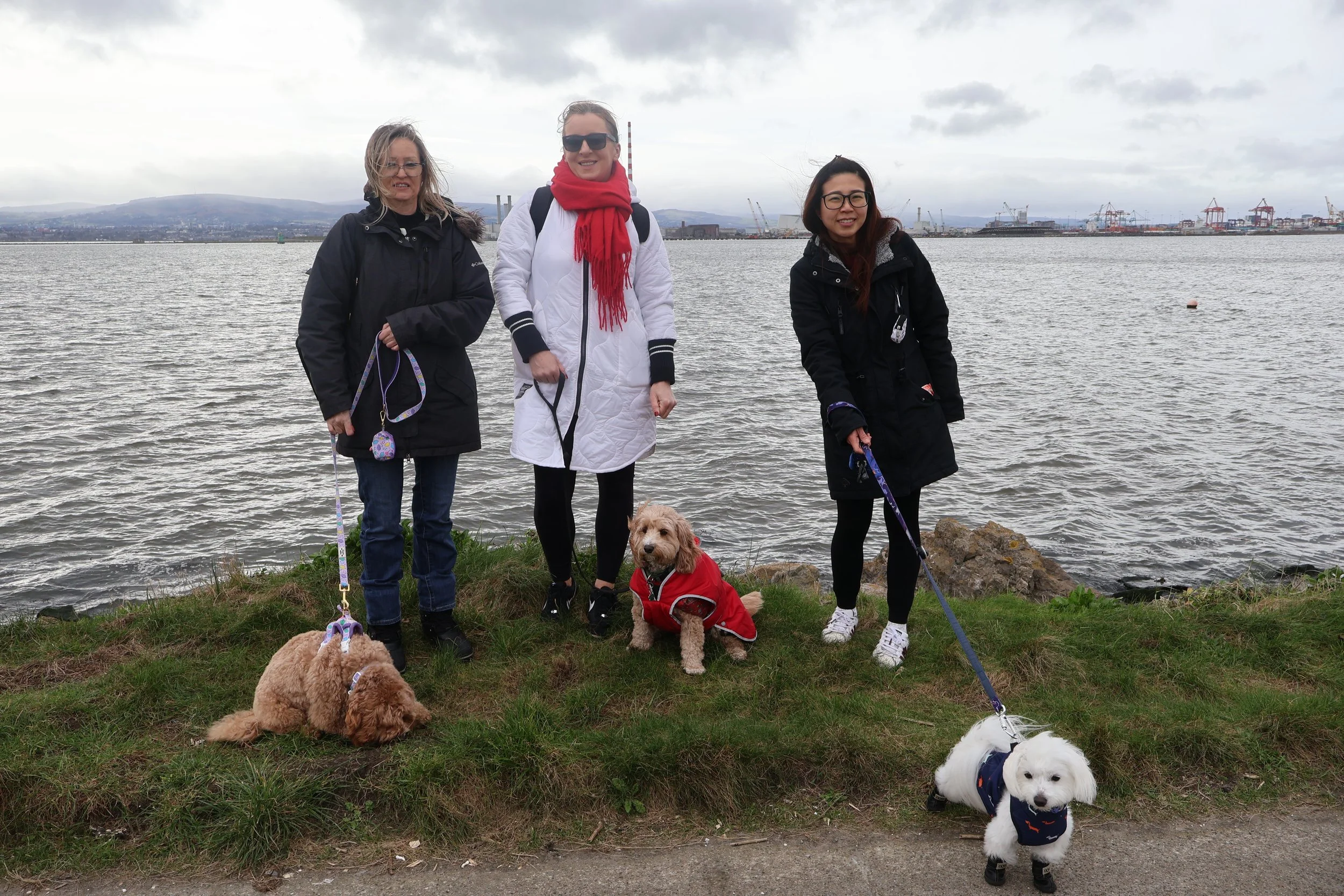 Three women and four dogs by a waterfront, with a cityscape and port cranes in the background.