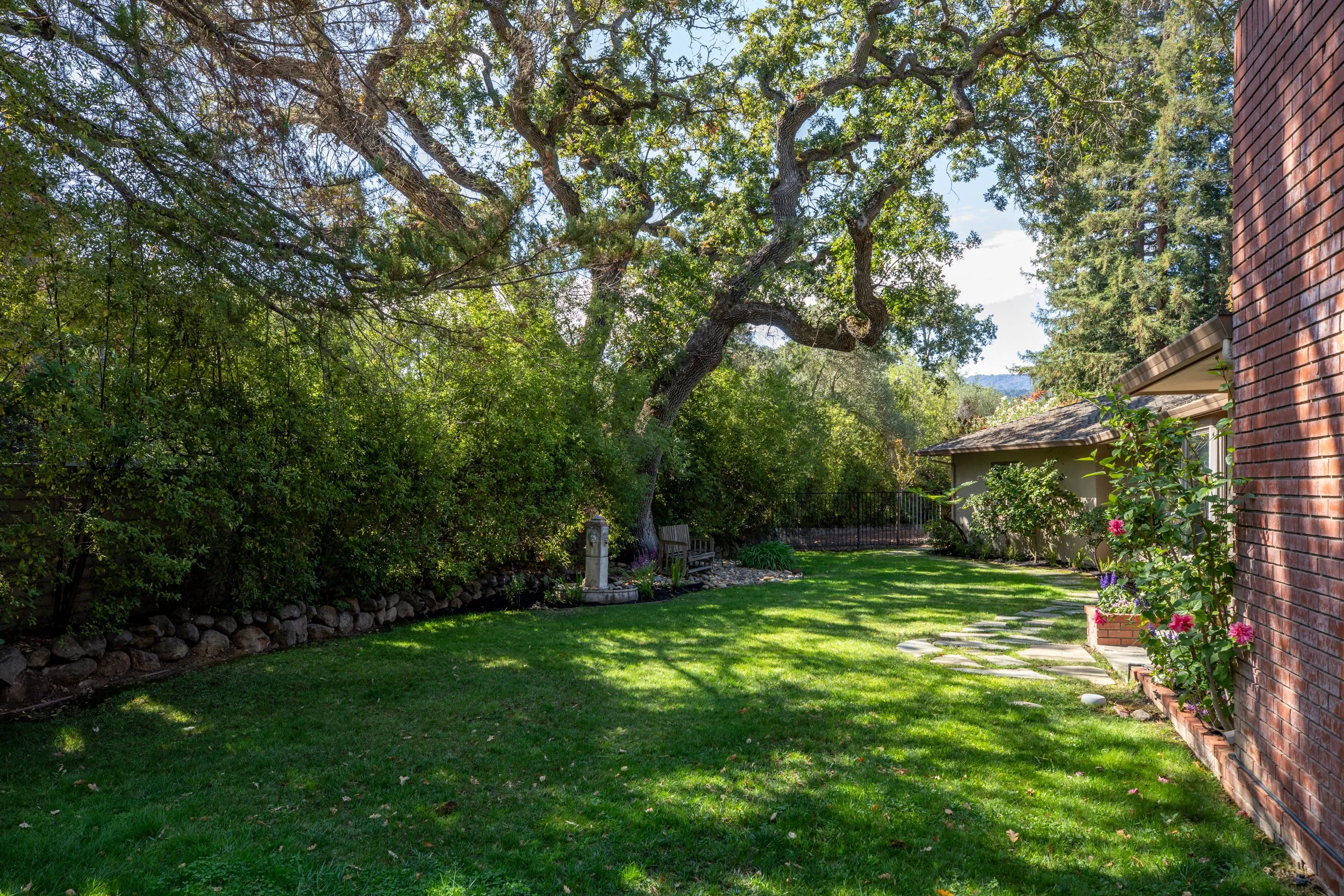 24-BayTree_Matt_Anello-1852-MLS.jpg