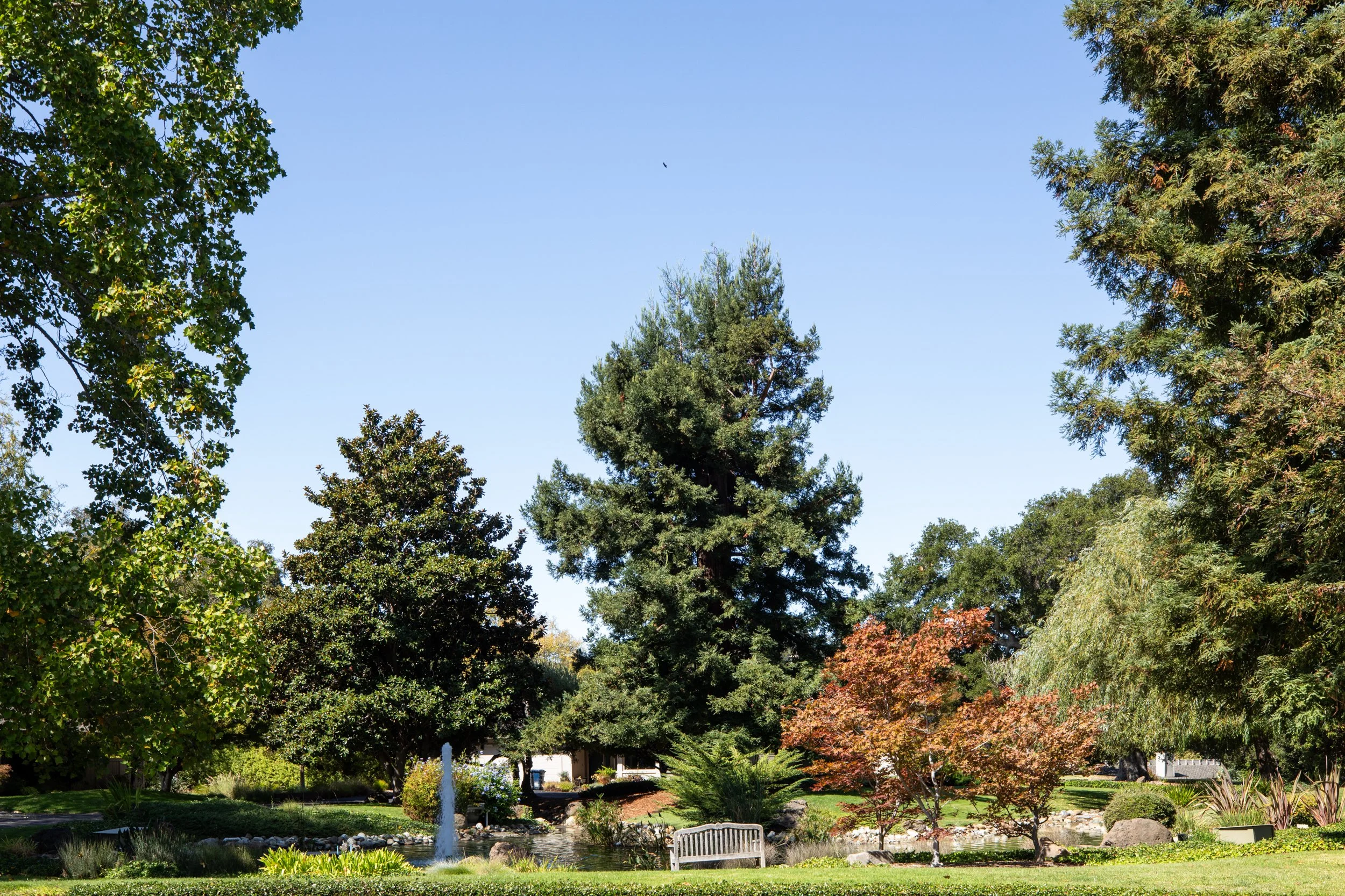29-BayTree_Matt_Anello-1860-MLS.jpg