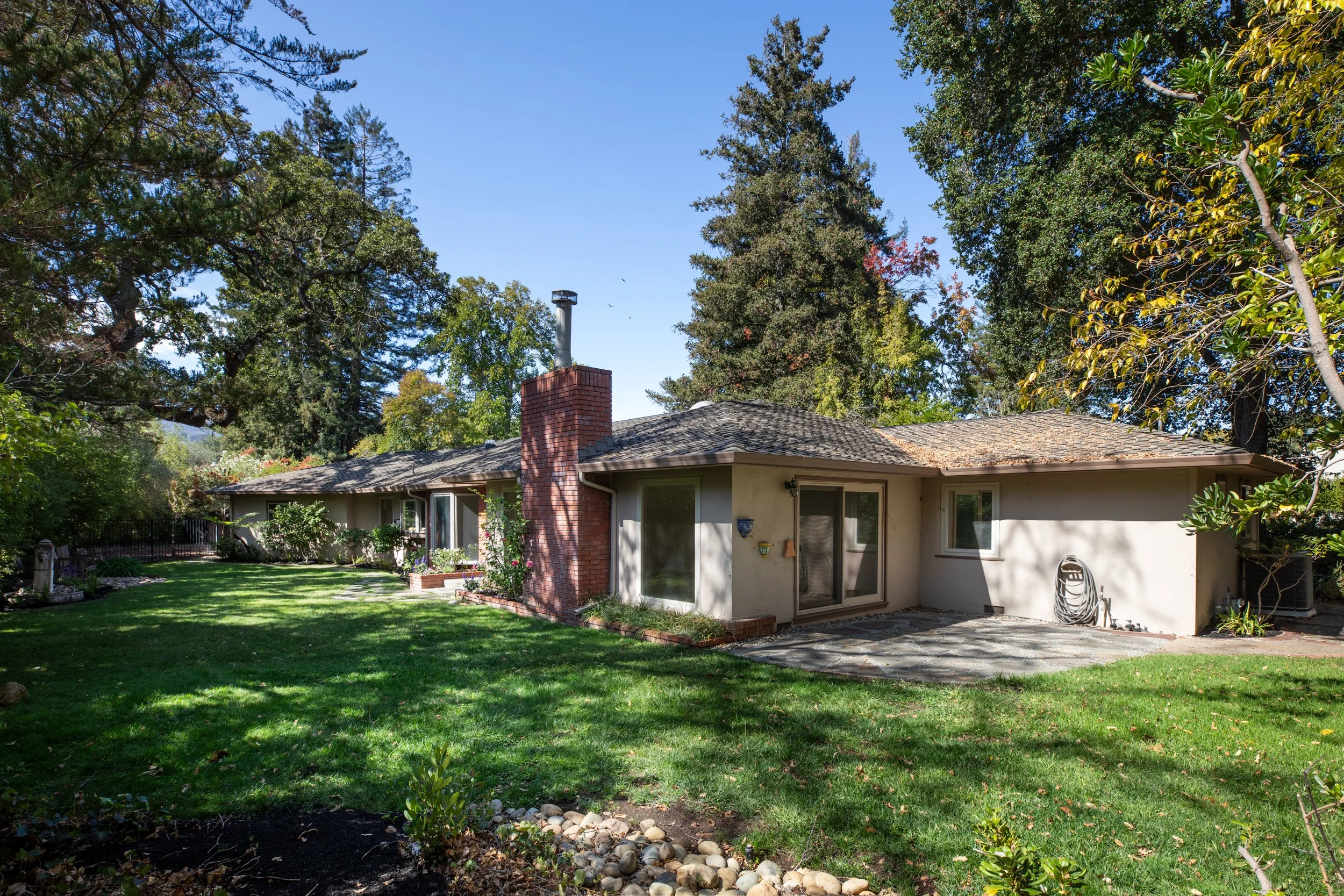 25-BayTree_Matt_Anello-1854-MLS.jpg