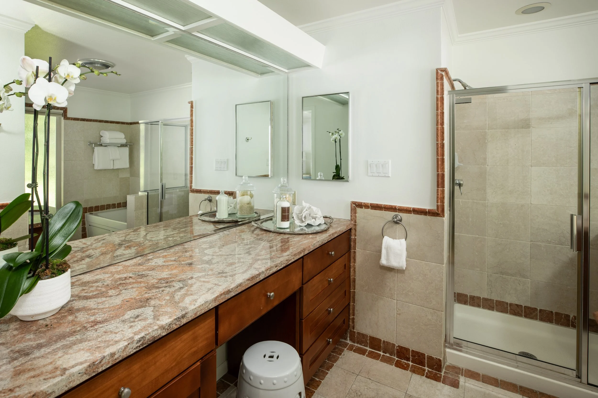 19-BayTree_Matt_Anello-3126-MLS.jpg