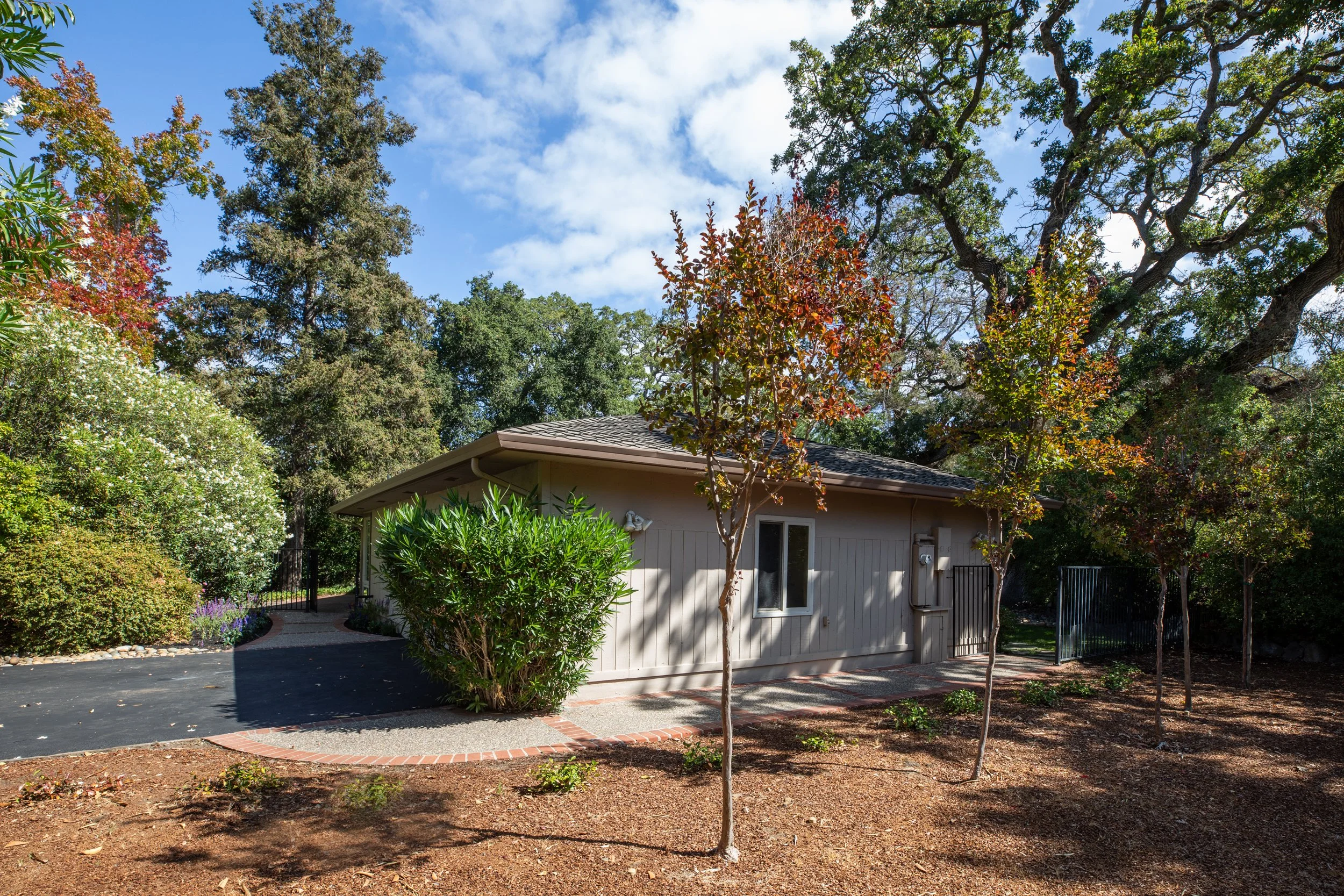 28-BayTree_Matt_Anello-1847-MLS.jpg