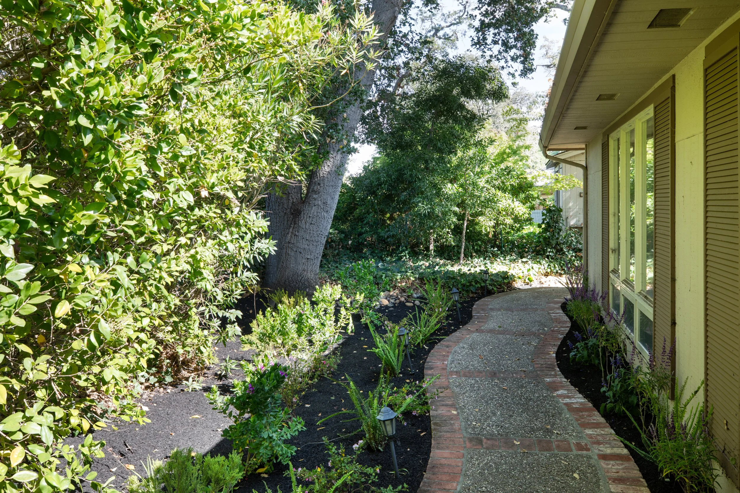 23-BayTree_Matt_Anello-1850-MLS.jpg