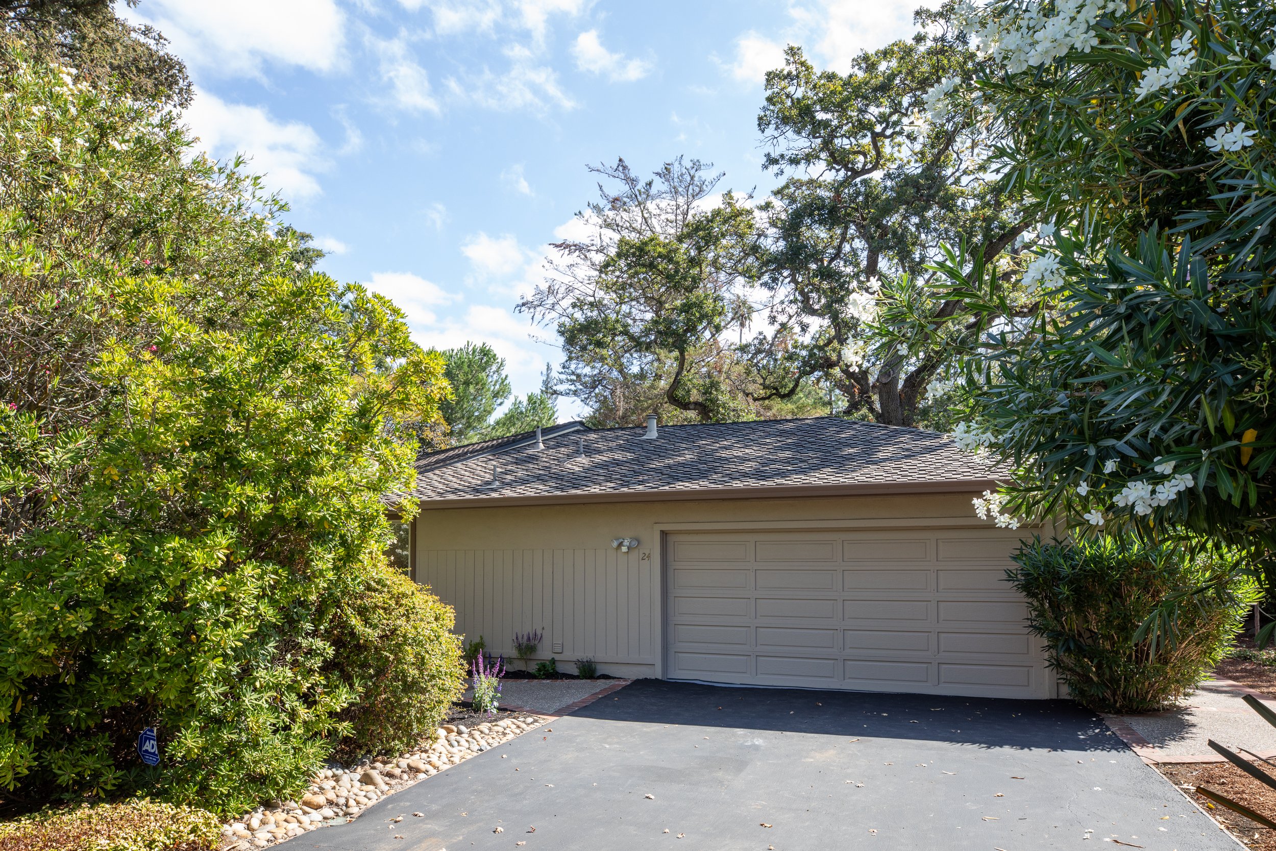 27-BayTree_Matt_Anello-1846-MLS.jpg