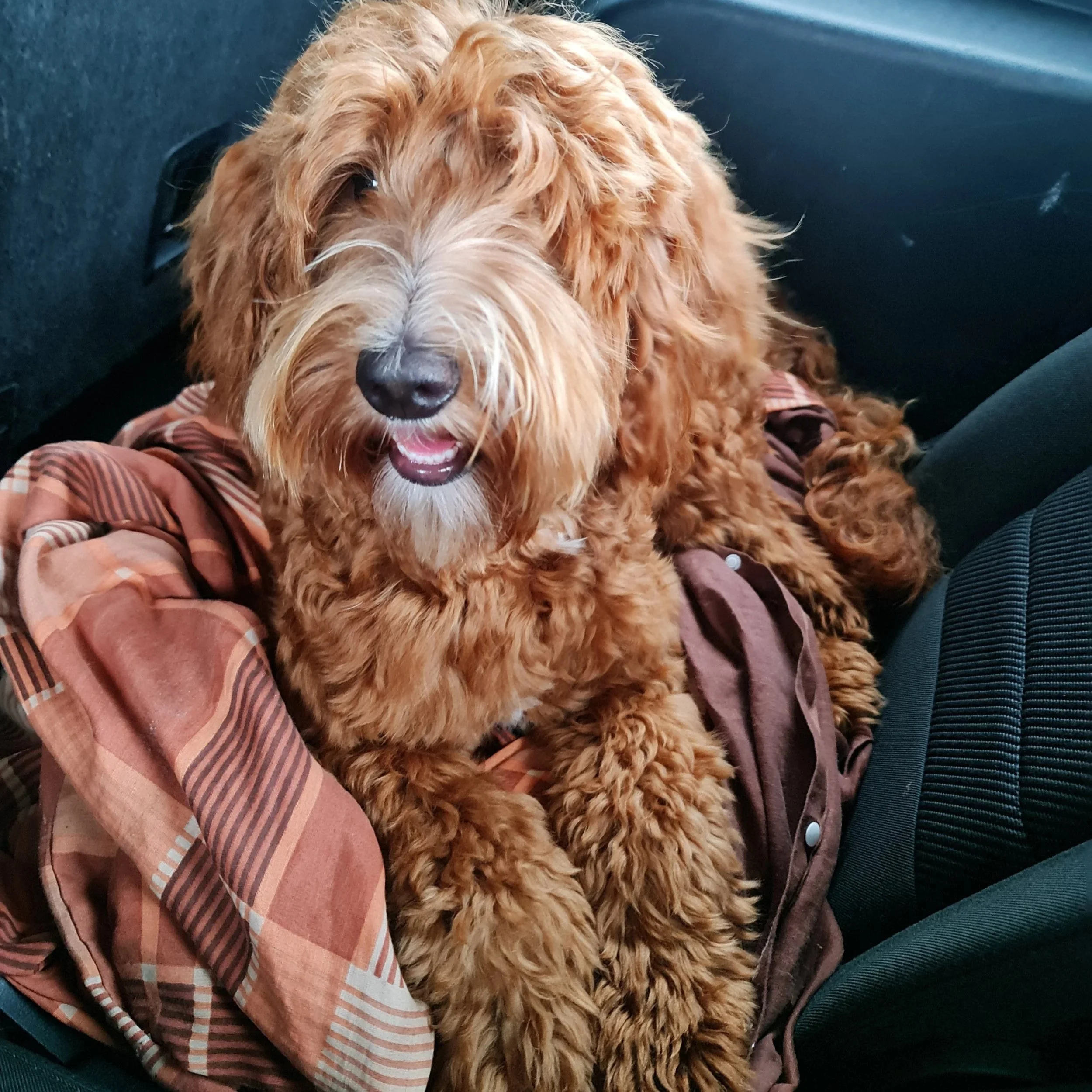 Couscous ready for a long journey to the beach.